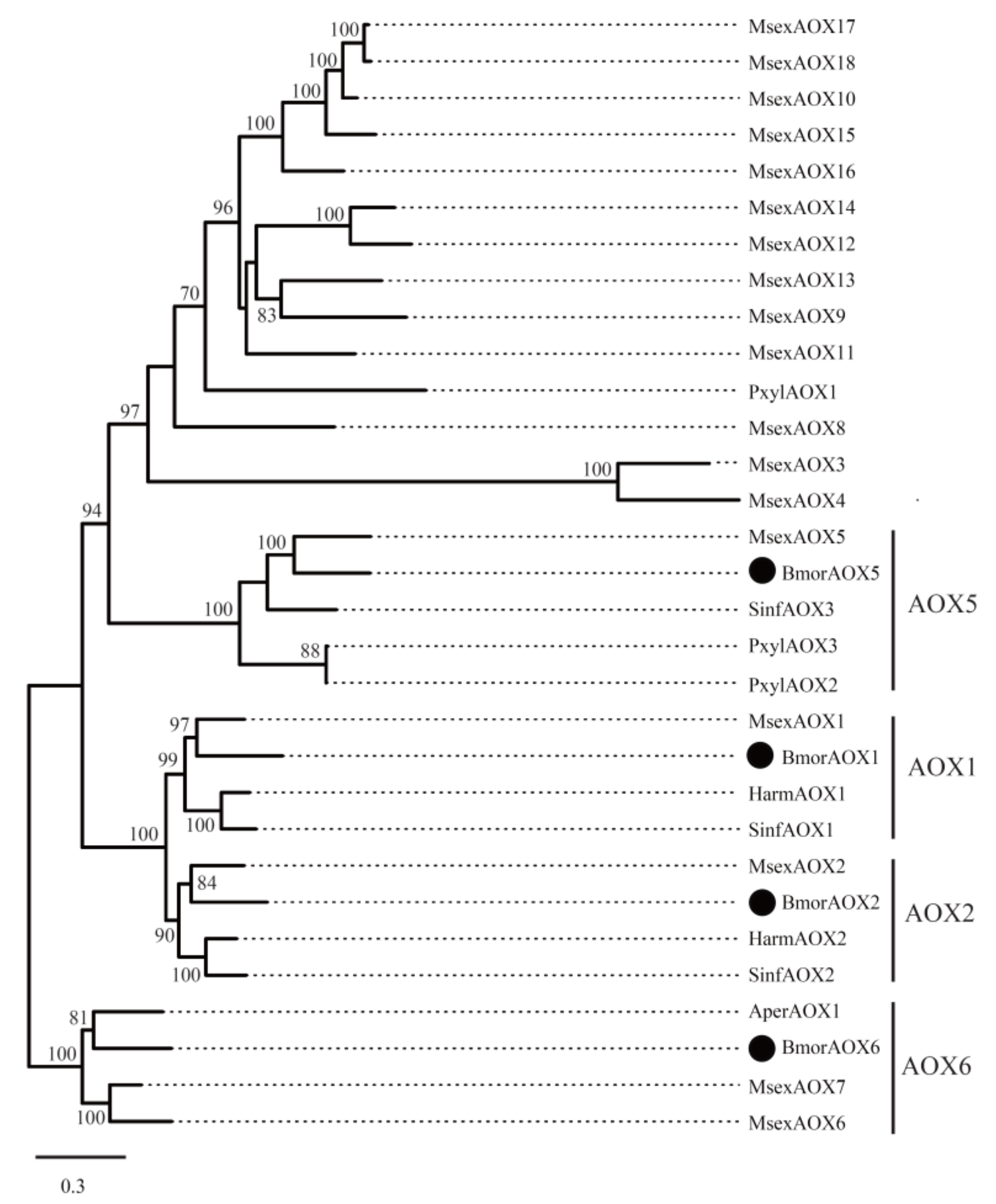 Insects 12 01062 g007 550