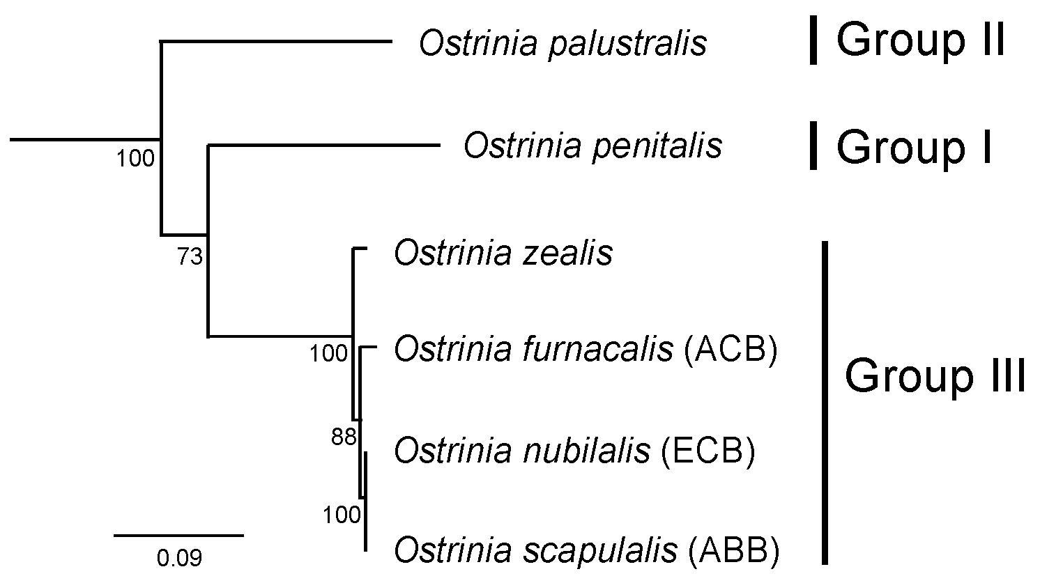 Insects 12 01067 g001