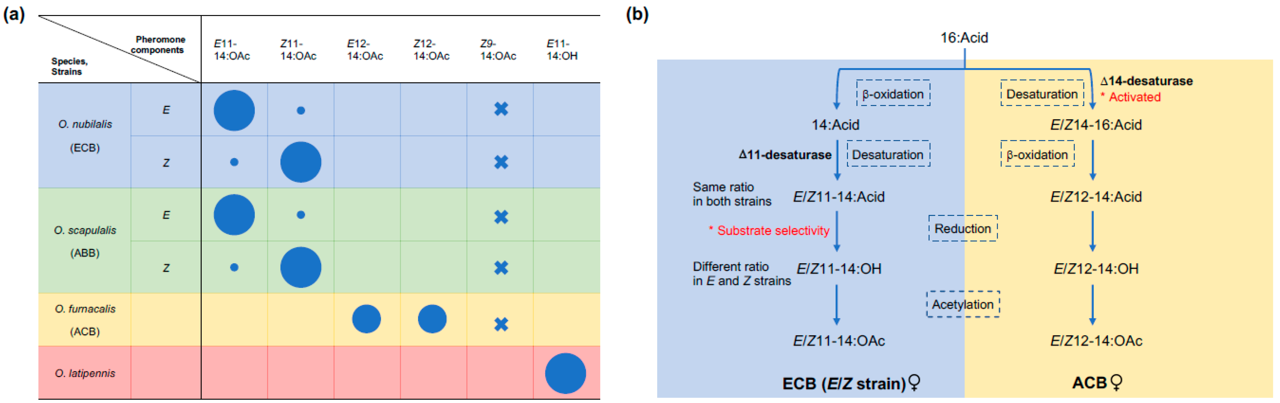 Insects 12 01067 g002