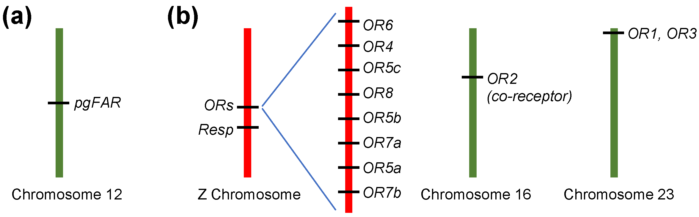 Insects 12 01067 g003