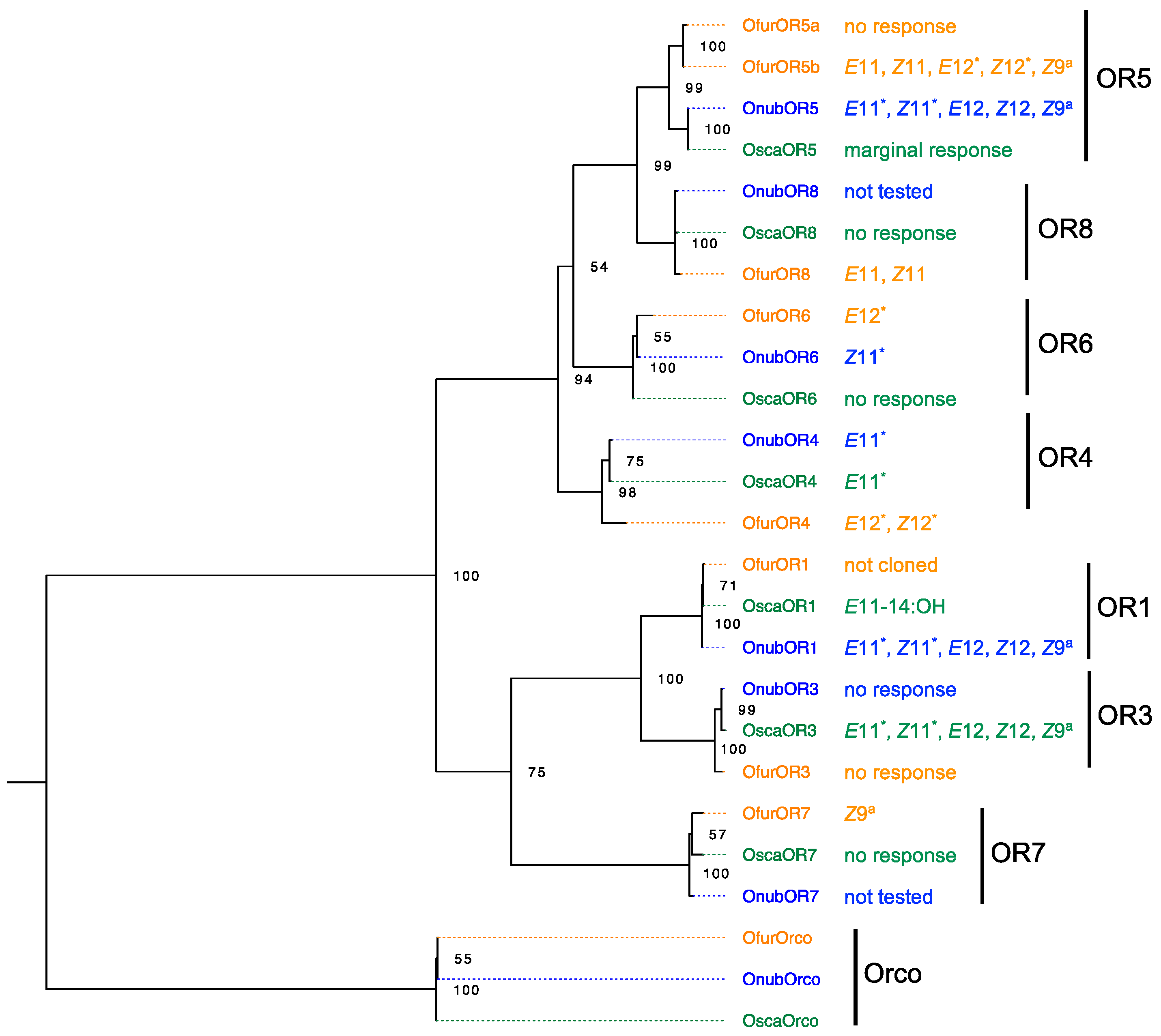 Insects 12 01067 g004