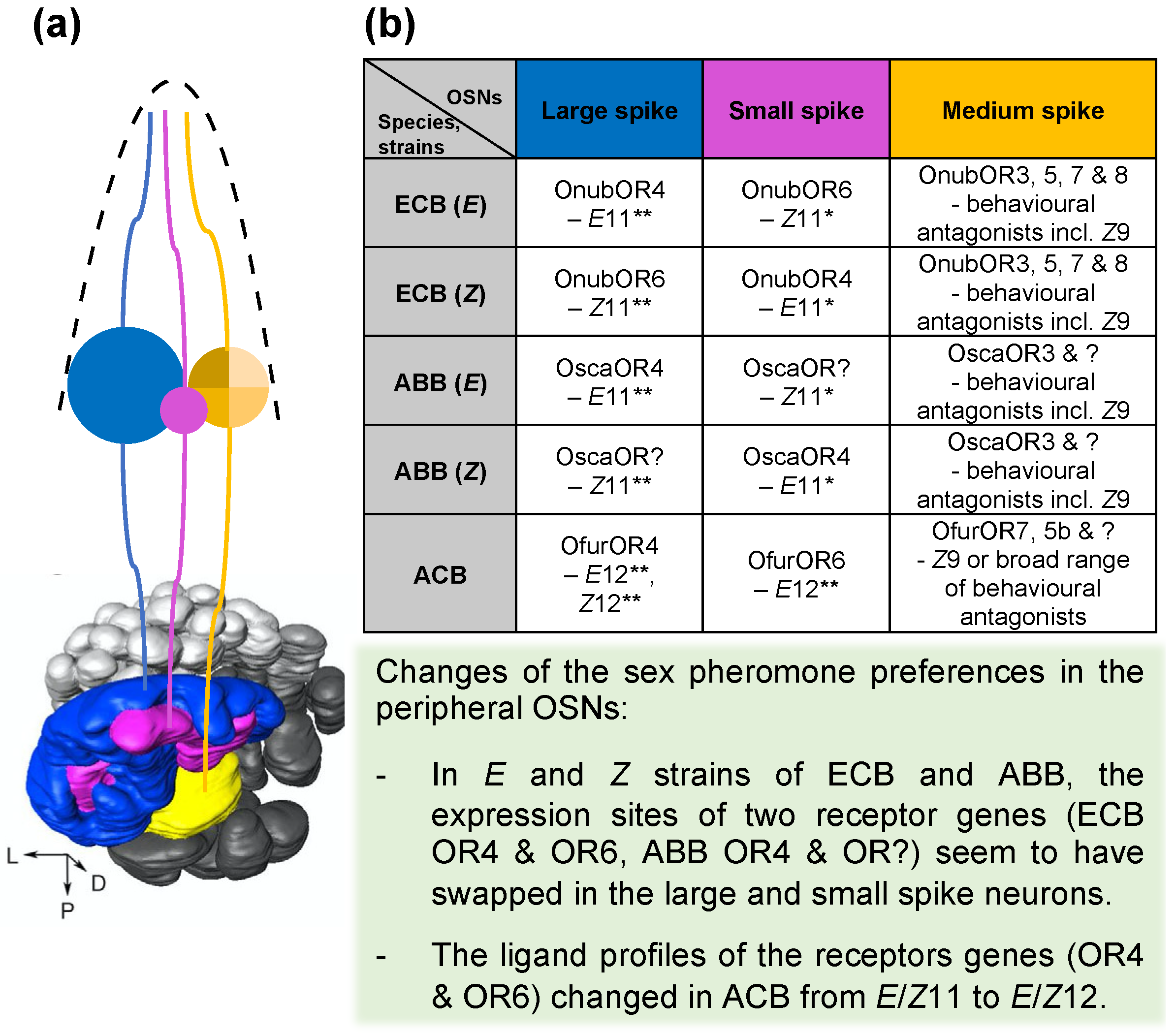 Insects 12 01067 g005