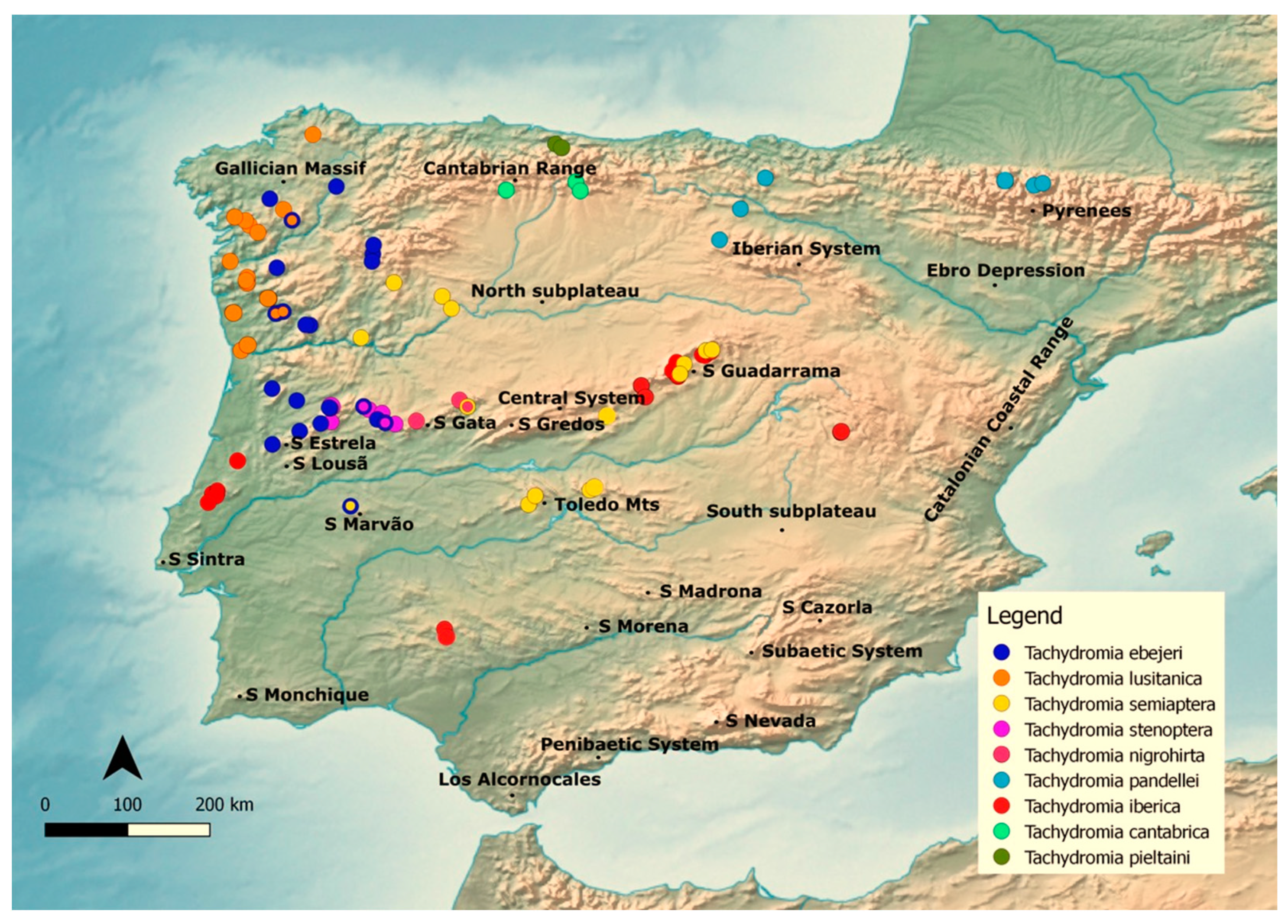 Insects 12 01068 g001