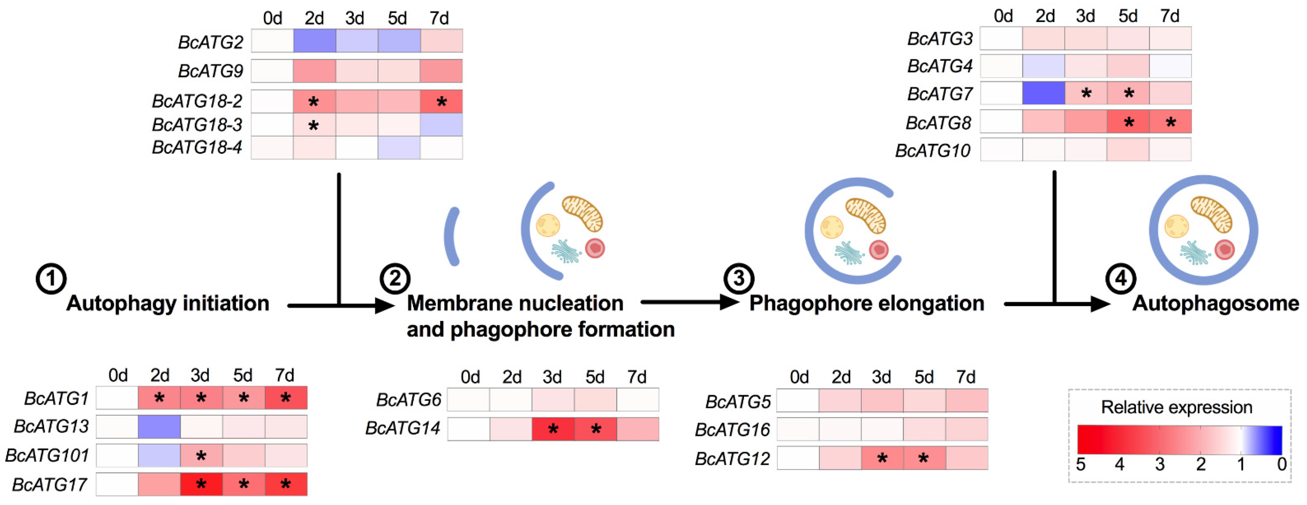 Insects 12 01073 g002
