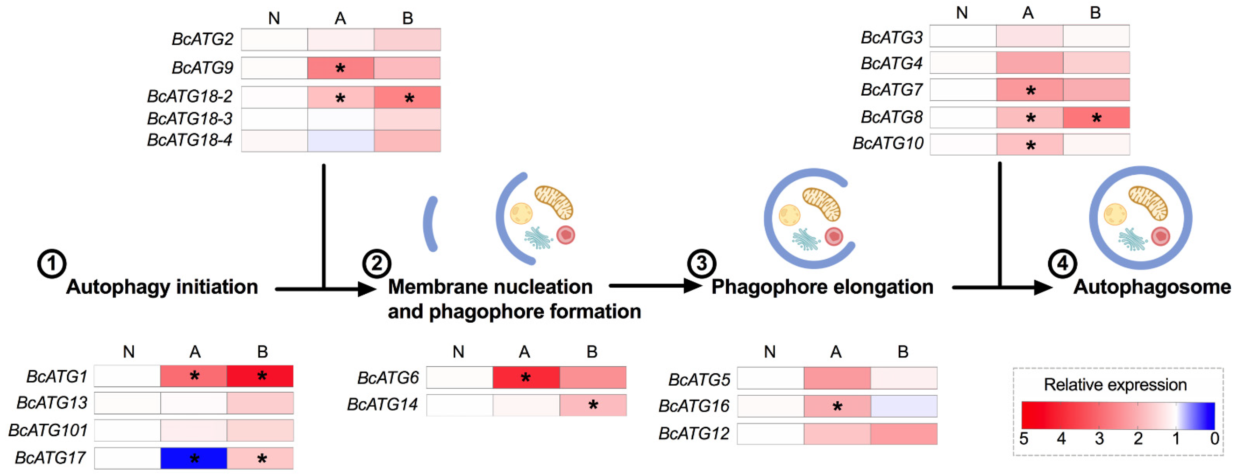 Insects 12 01073 g003