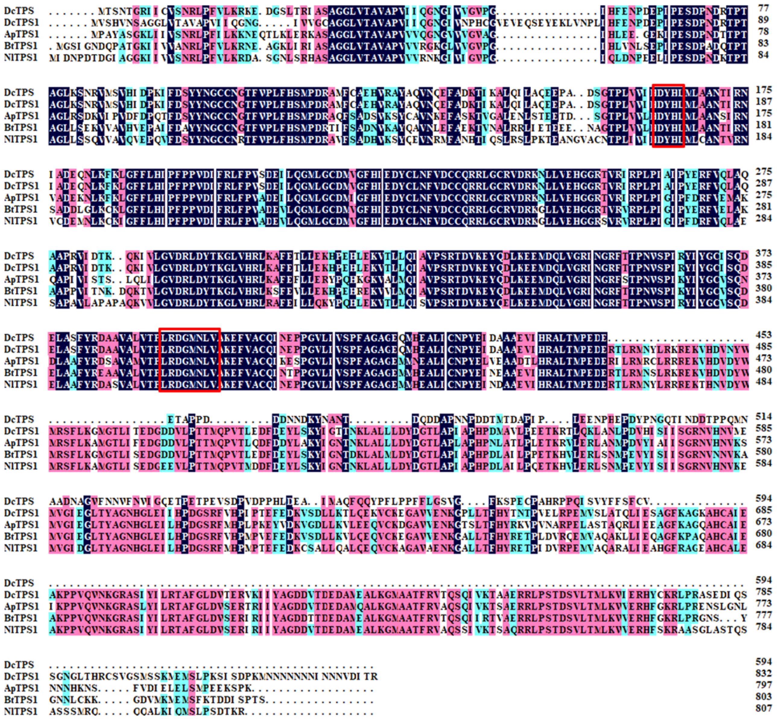 Insects 12 01074 g002