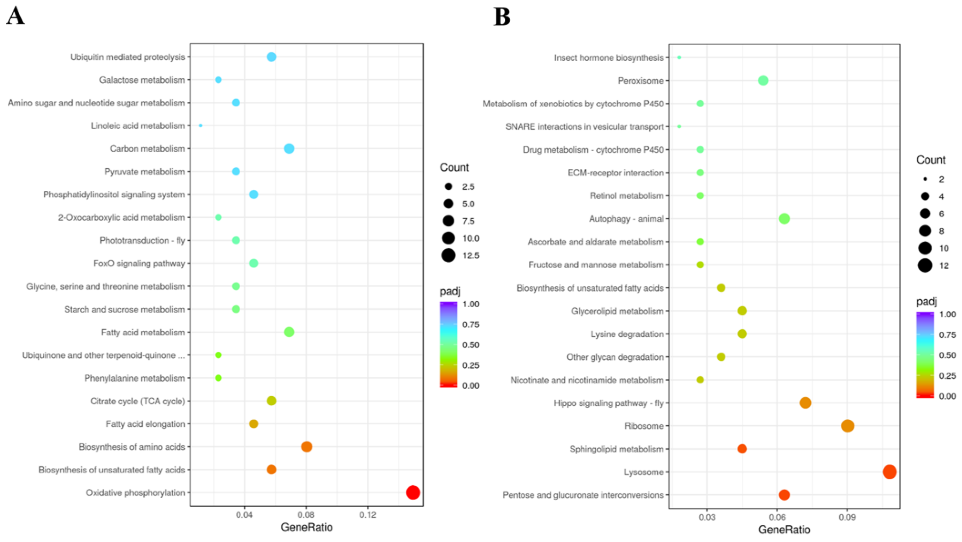 Insects 12 01074 g010