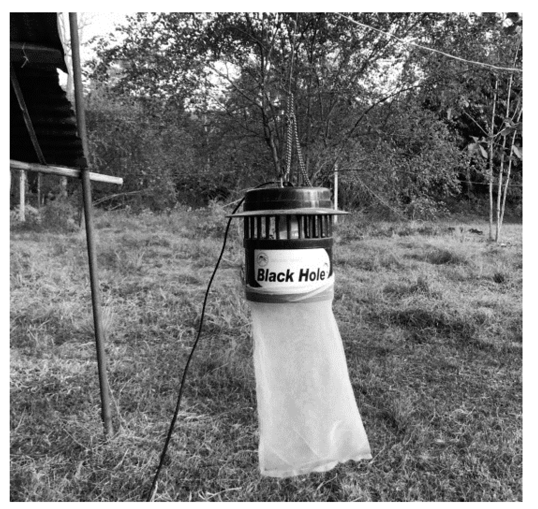 Insects 12 01076 g001 Insects 12 01076 g001