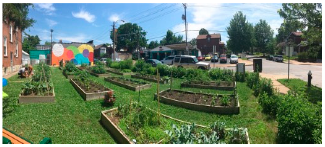 Insects 12 01086 g001 Insects 12 01086 g001