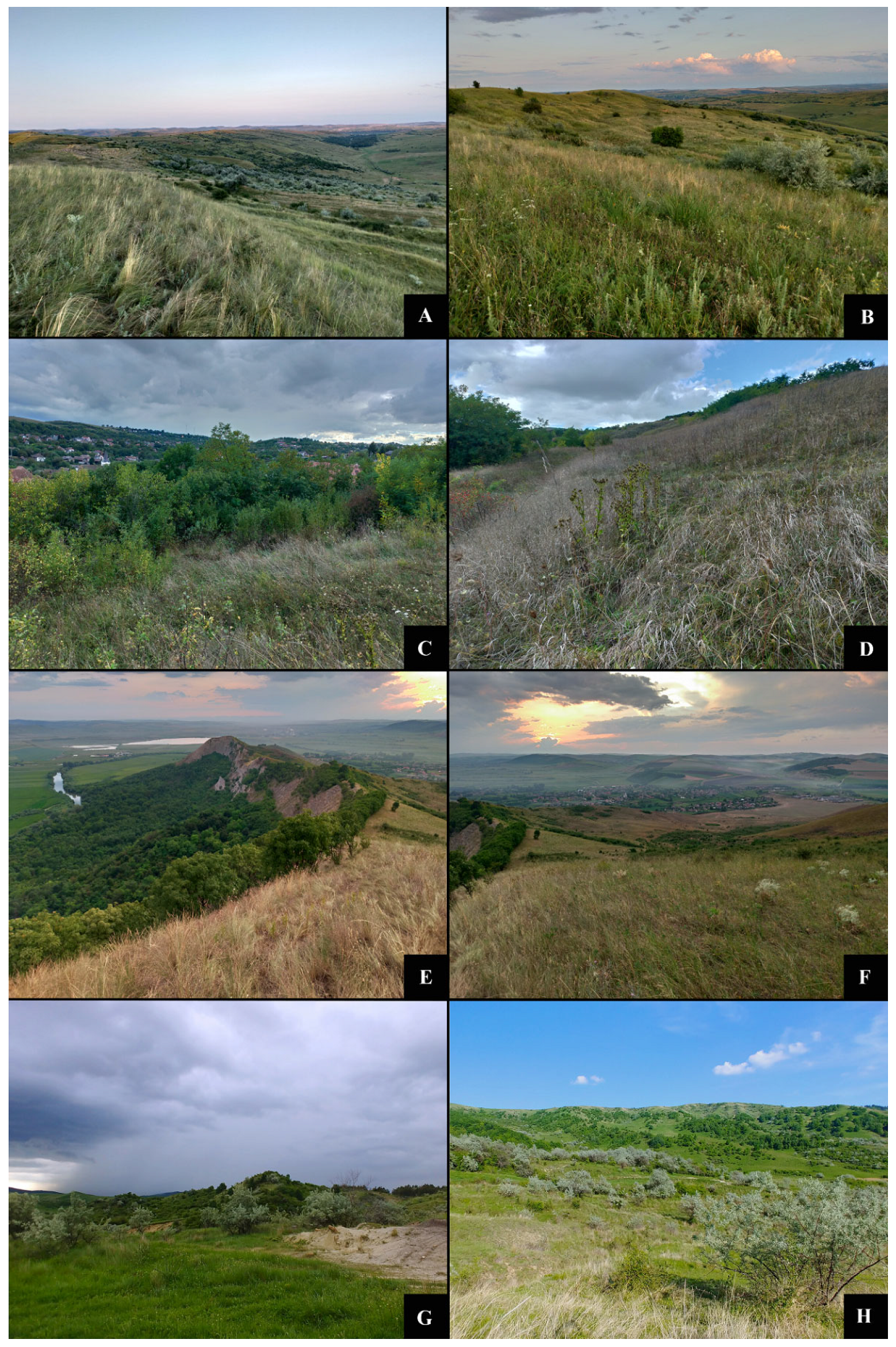 Insects 12 01087 g005 Insects 12 01087 g005