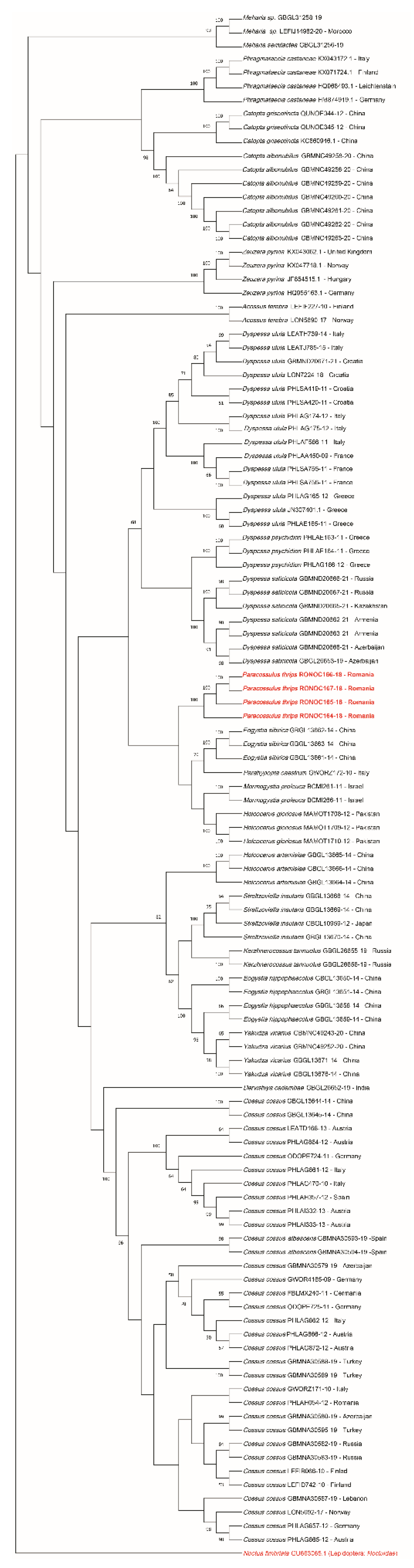 Insects 12 01087 g008 Insects 12 01087 g008