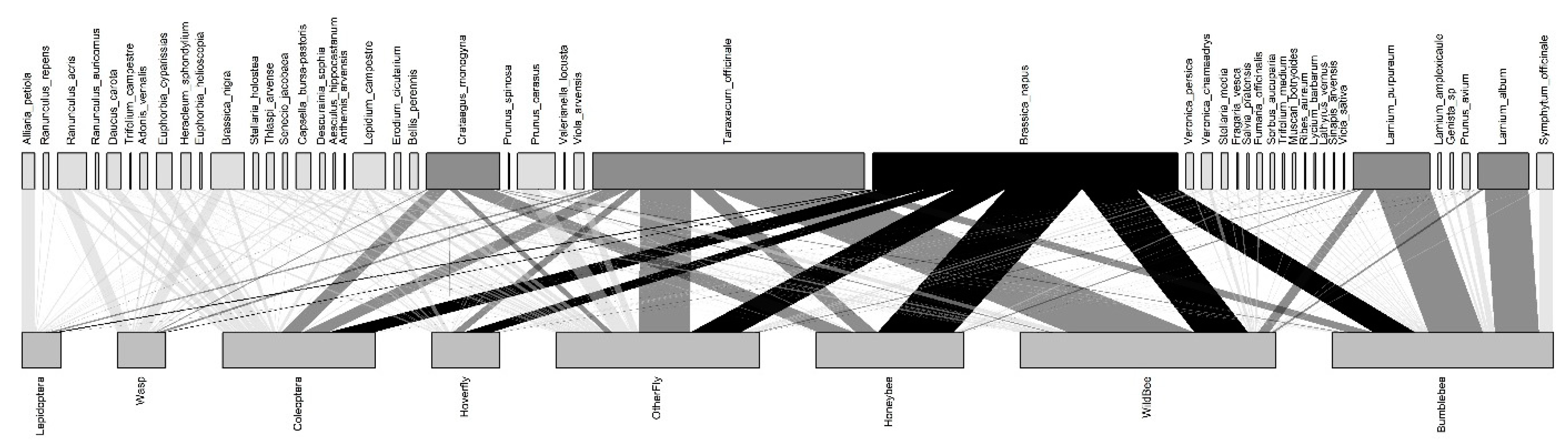 Insects 12 01096 g001