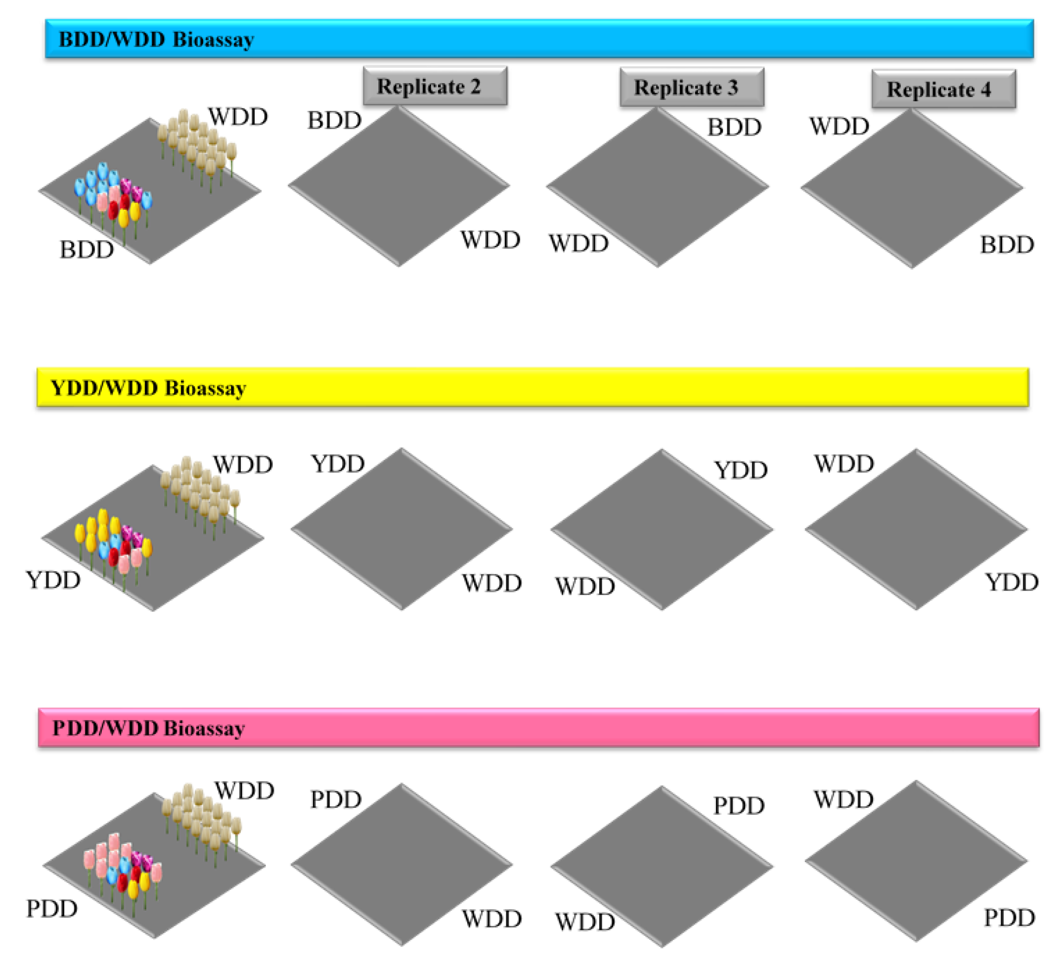 Insects 12 01097 g002 Insects 12 01097 g002