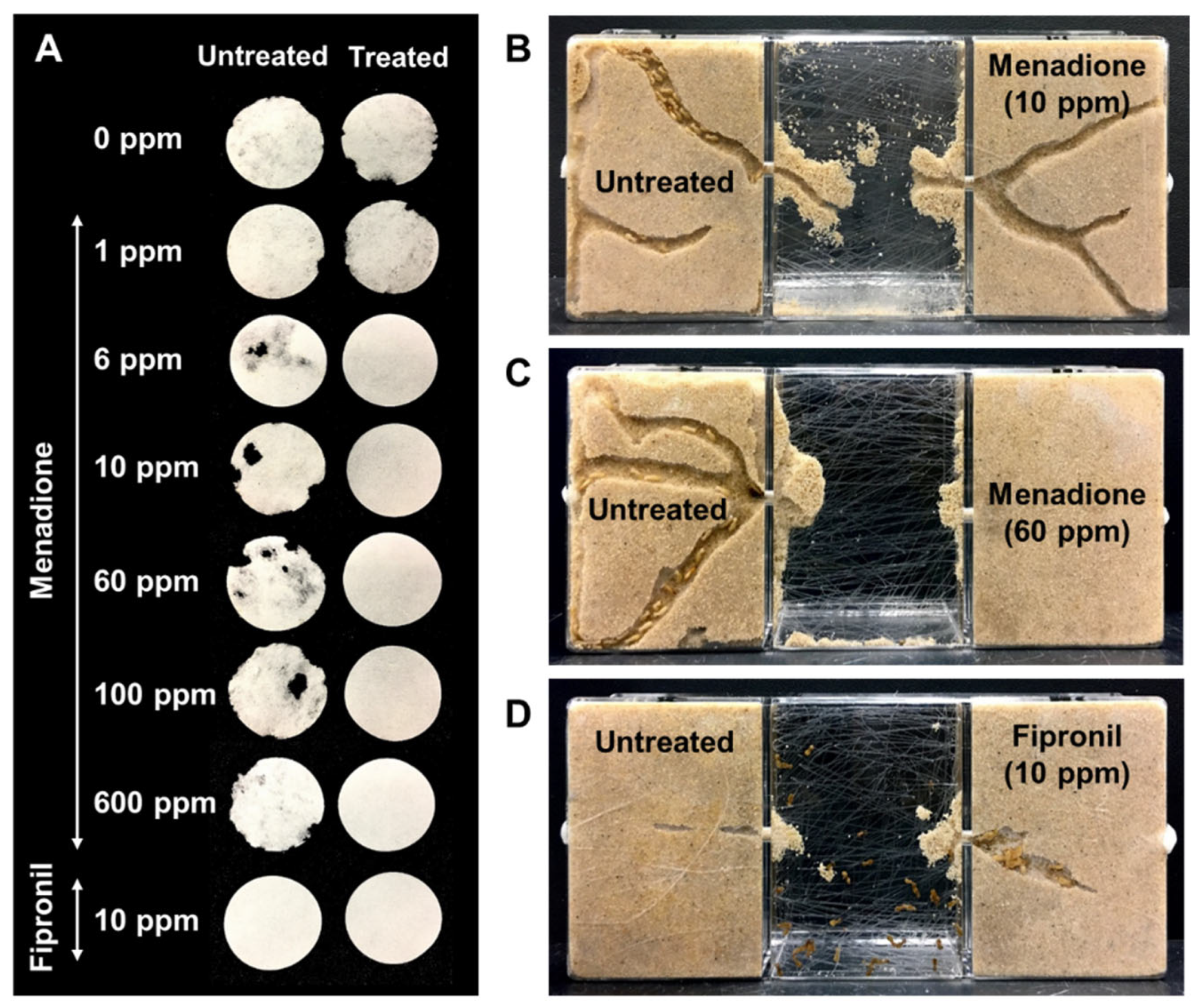 Insects 12 01109 g007
