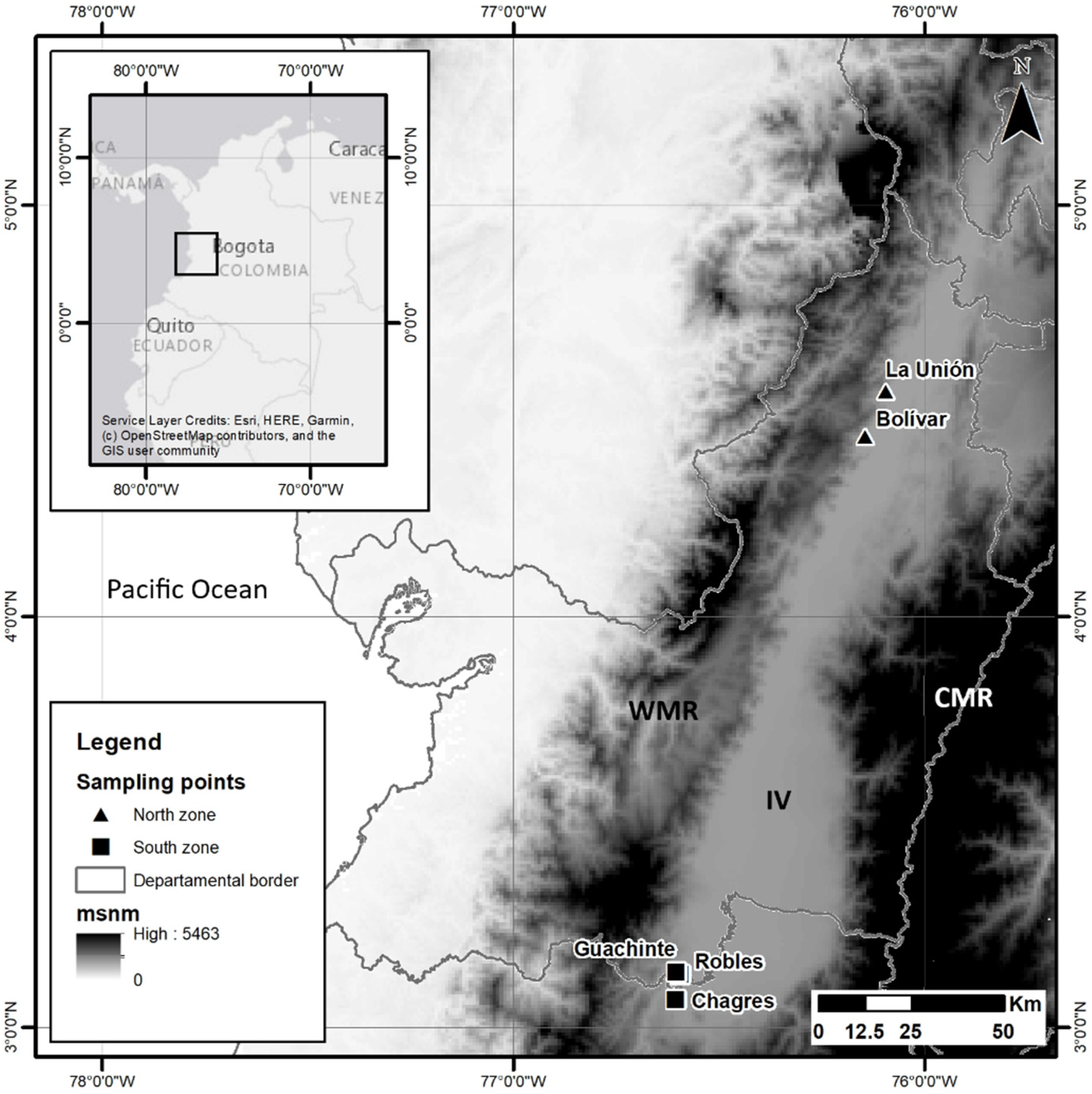 Insects 12 01116 g001 550
