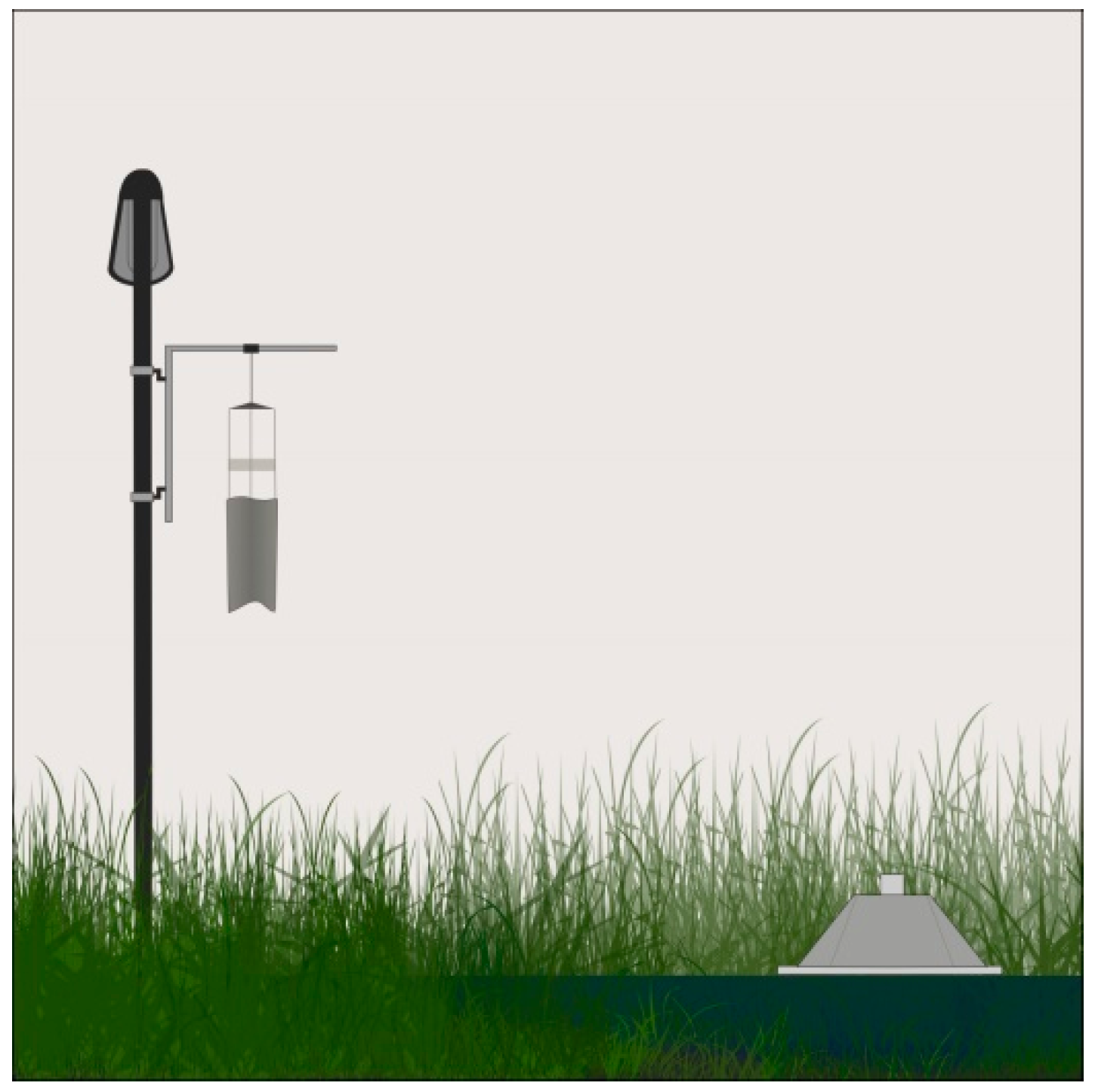 Insects 12 01117 g002