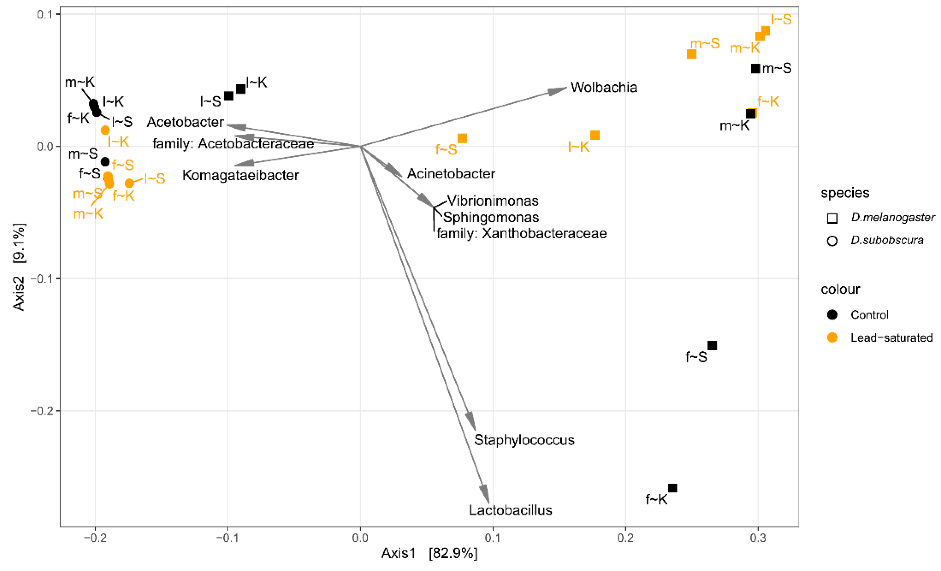 Insects 12 01122 g004