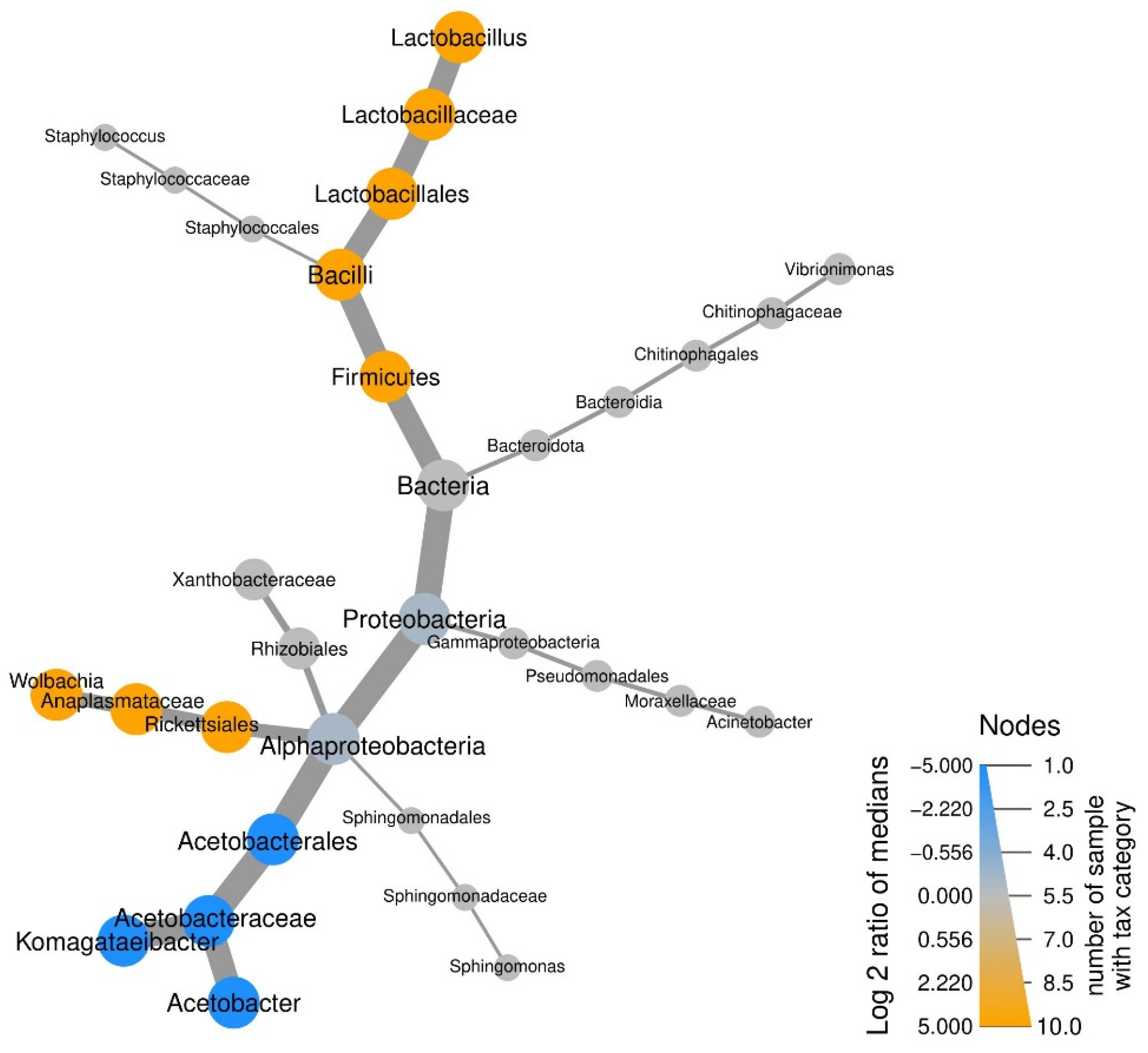 Insects 12 01122 g005
