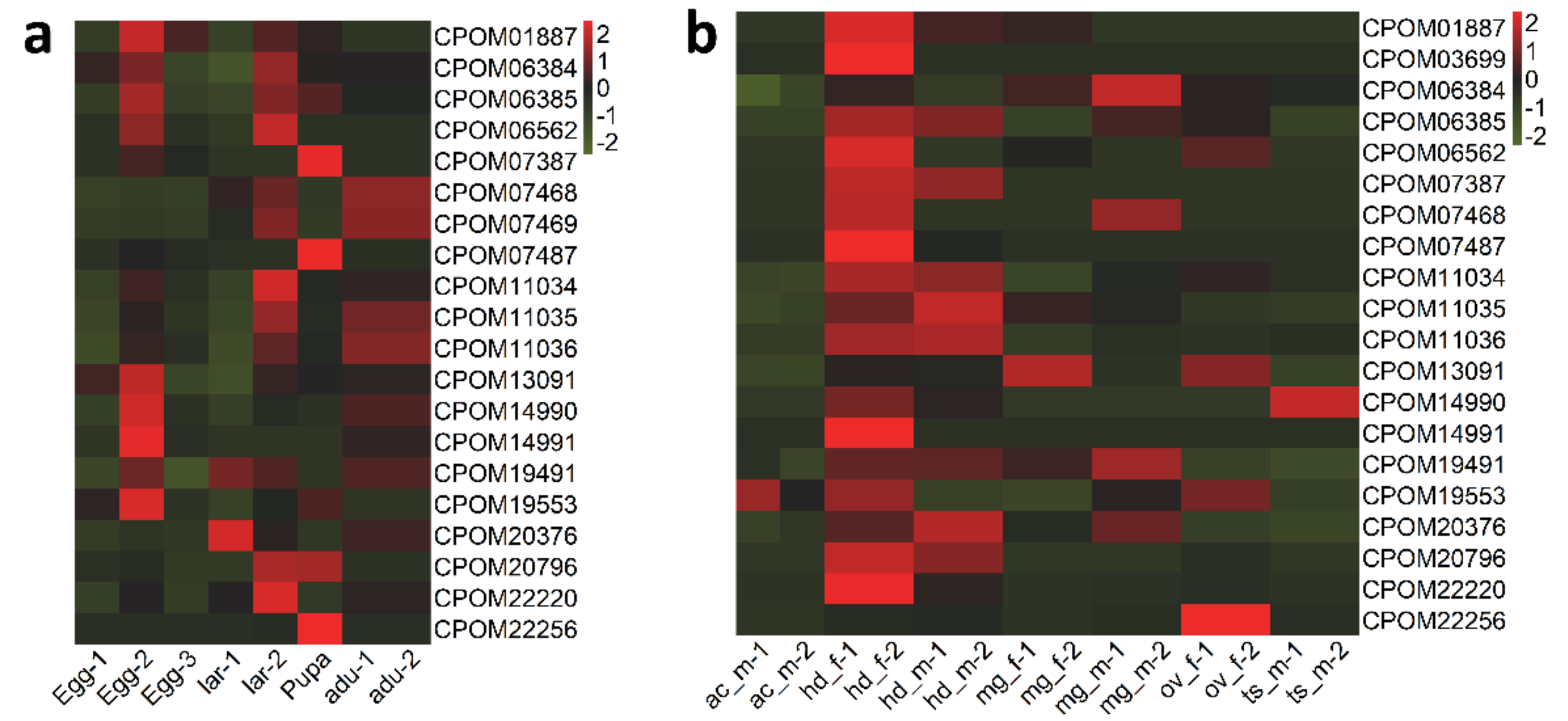 Insects 13 00002 g003 Insects 13 00002 g003
