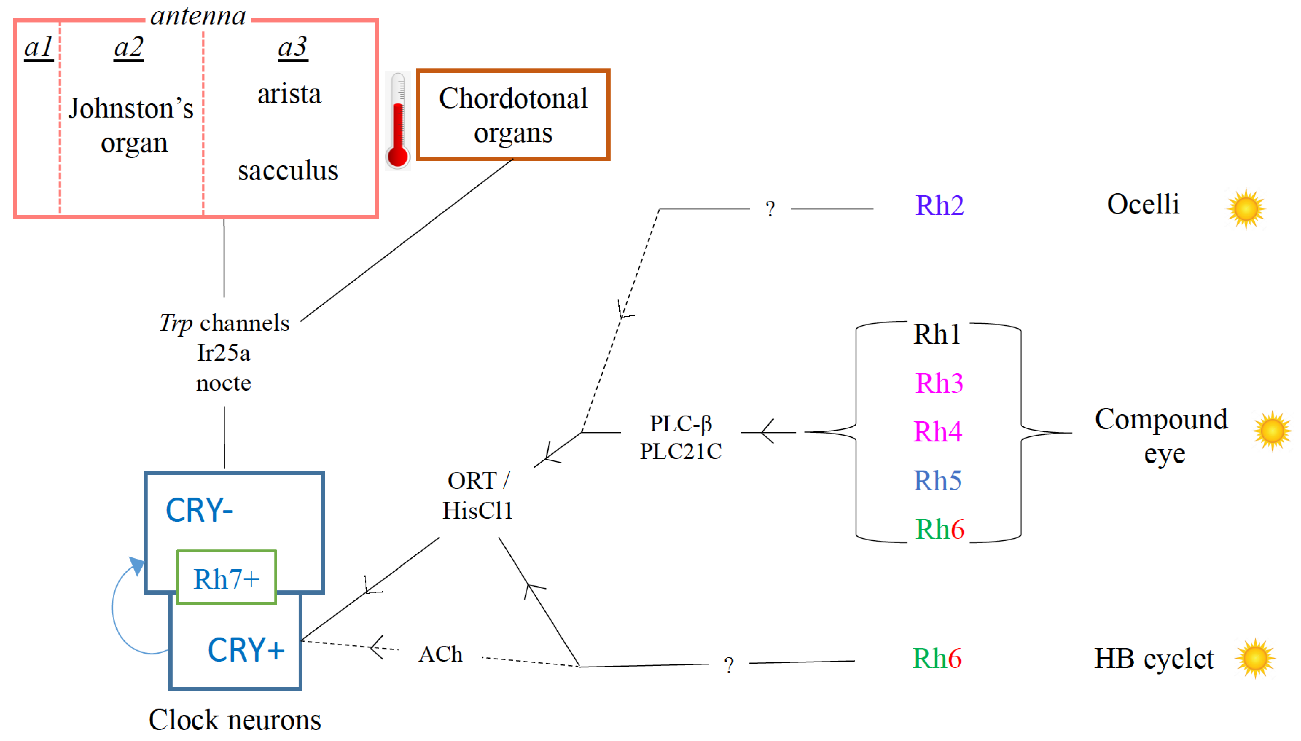 Insects 13 00003 g002 Insects 13 00003 g002