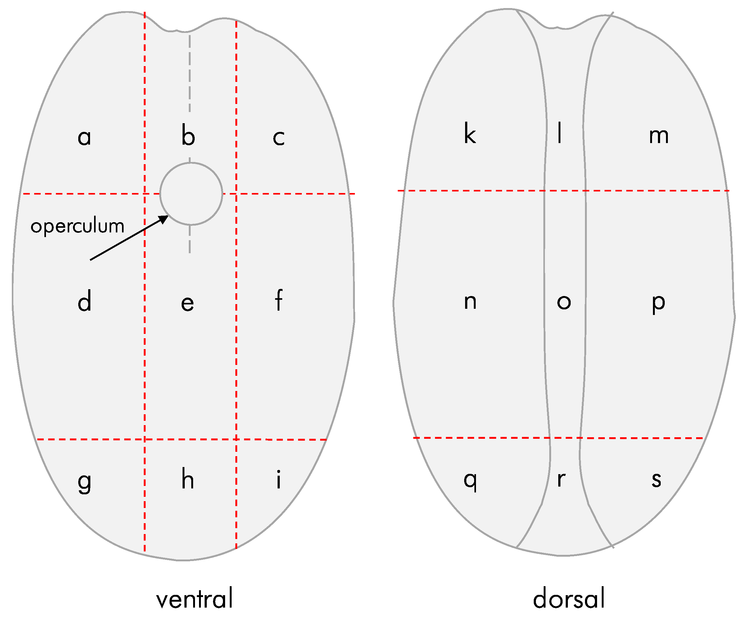 Insects 13 00010 g002