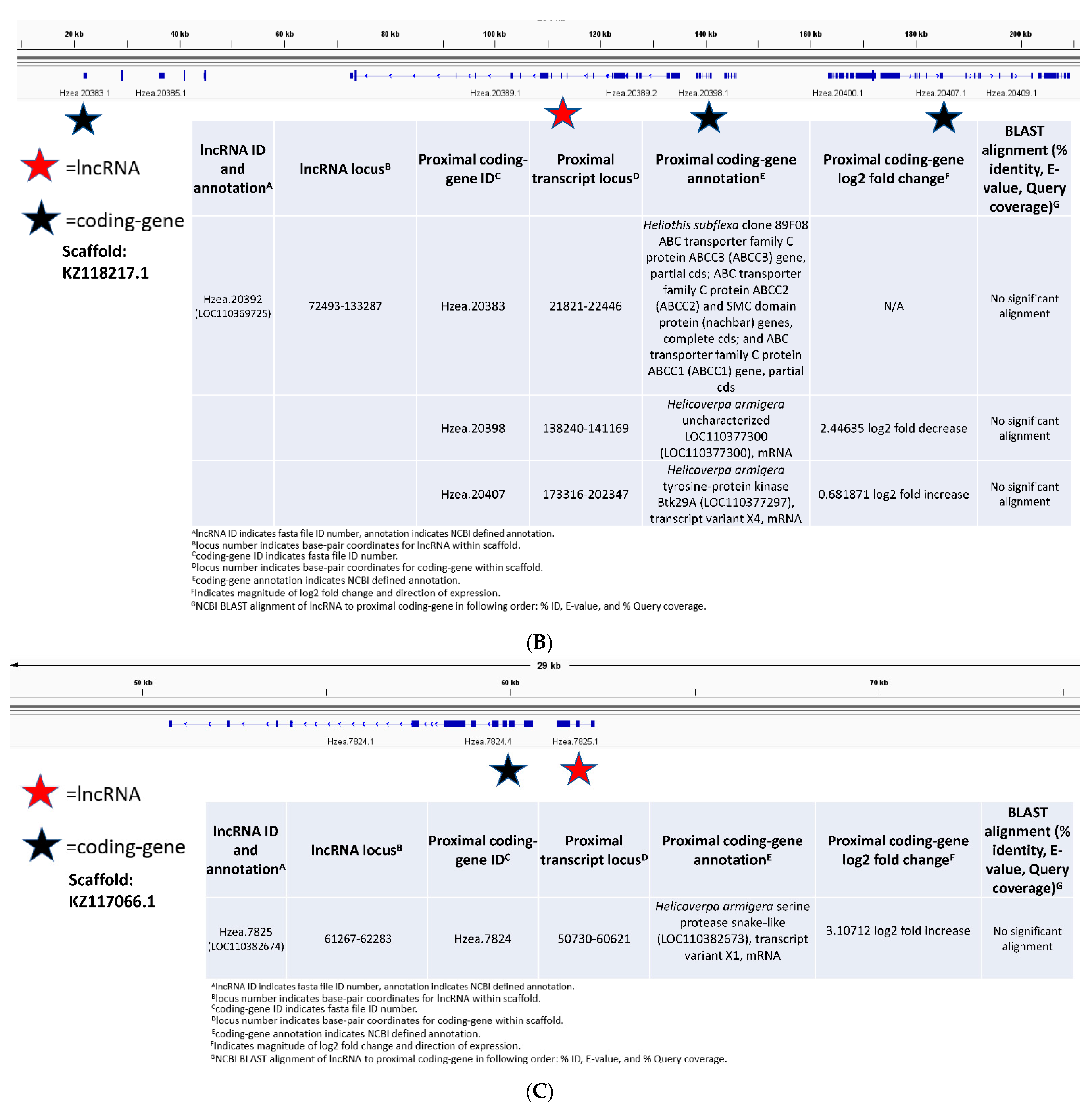 Insects 13 00012 g004b