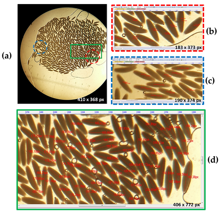 Insects 13 00017 g003
