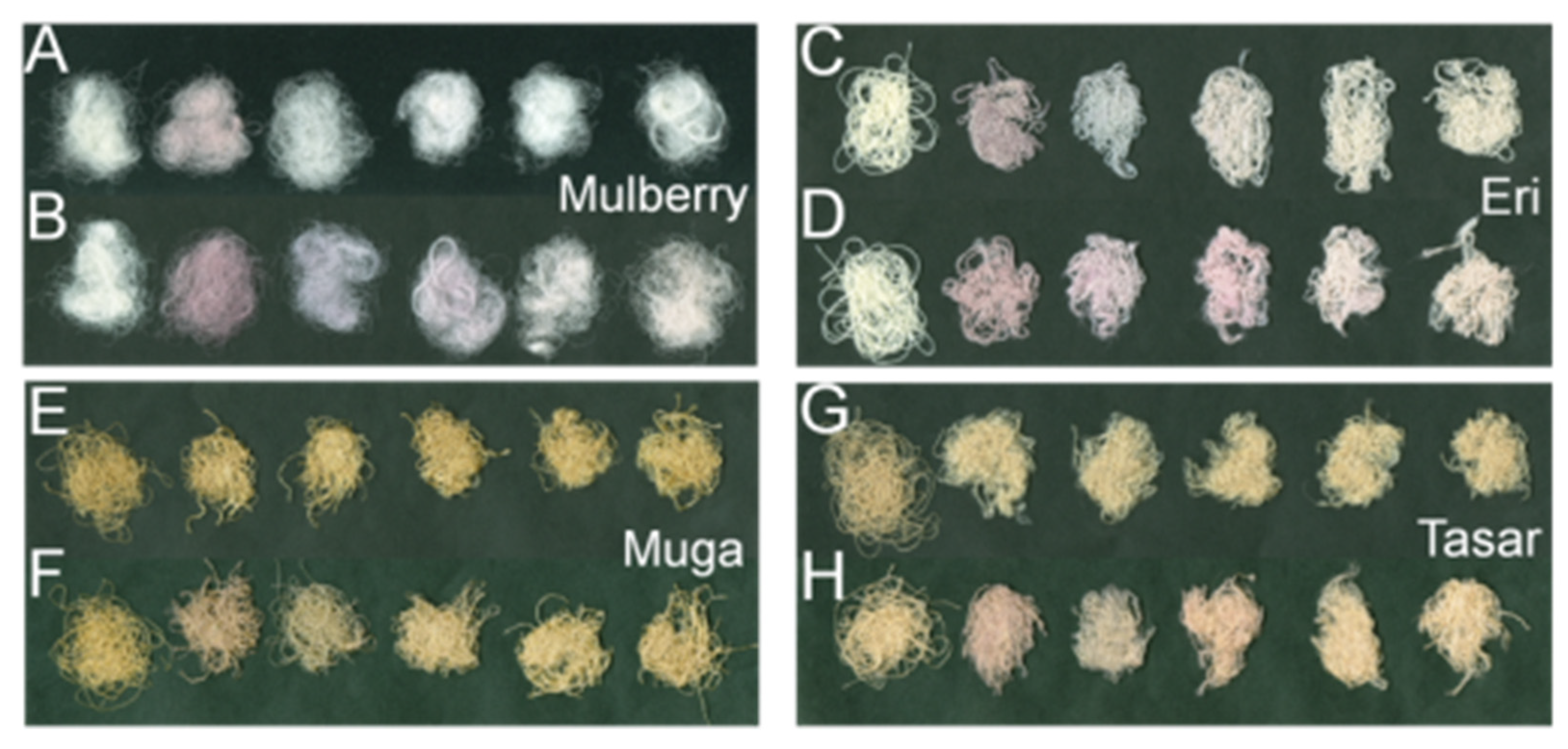 Insects 13 00018 g003