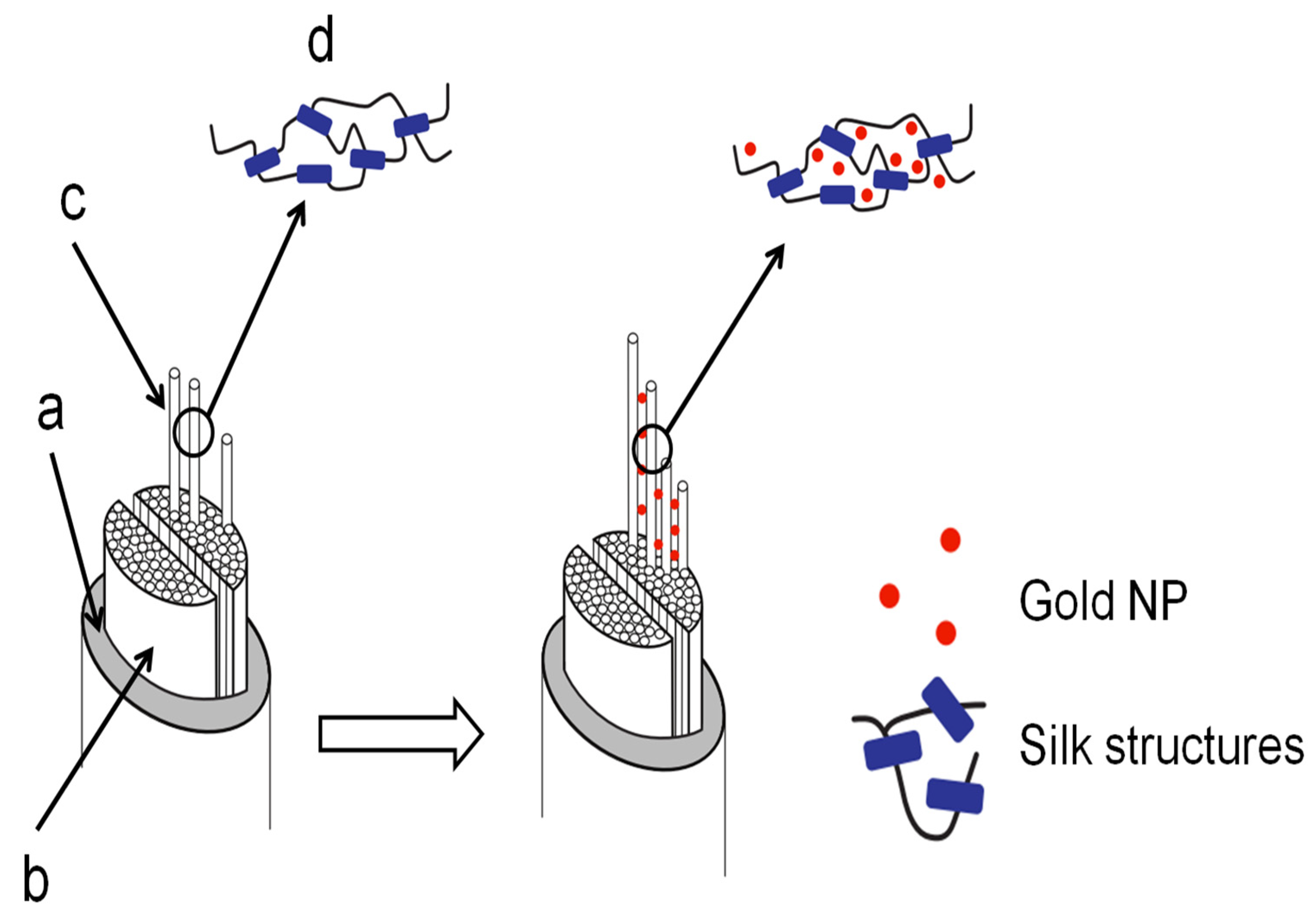Insects 13 00018 g012