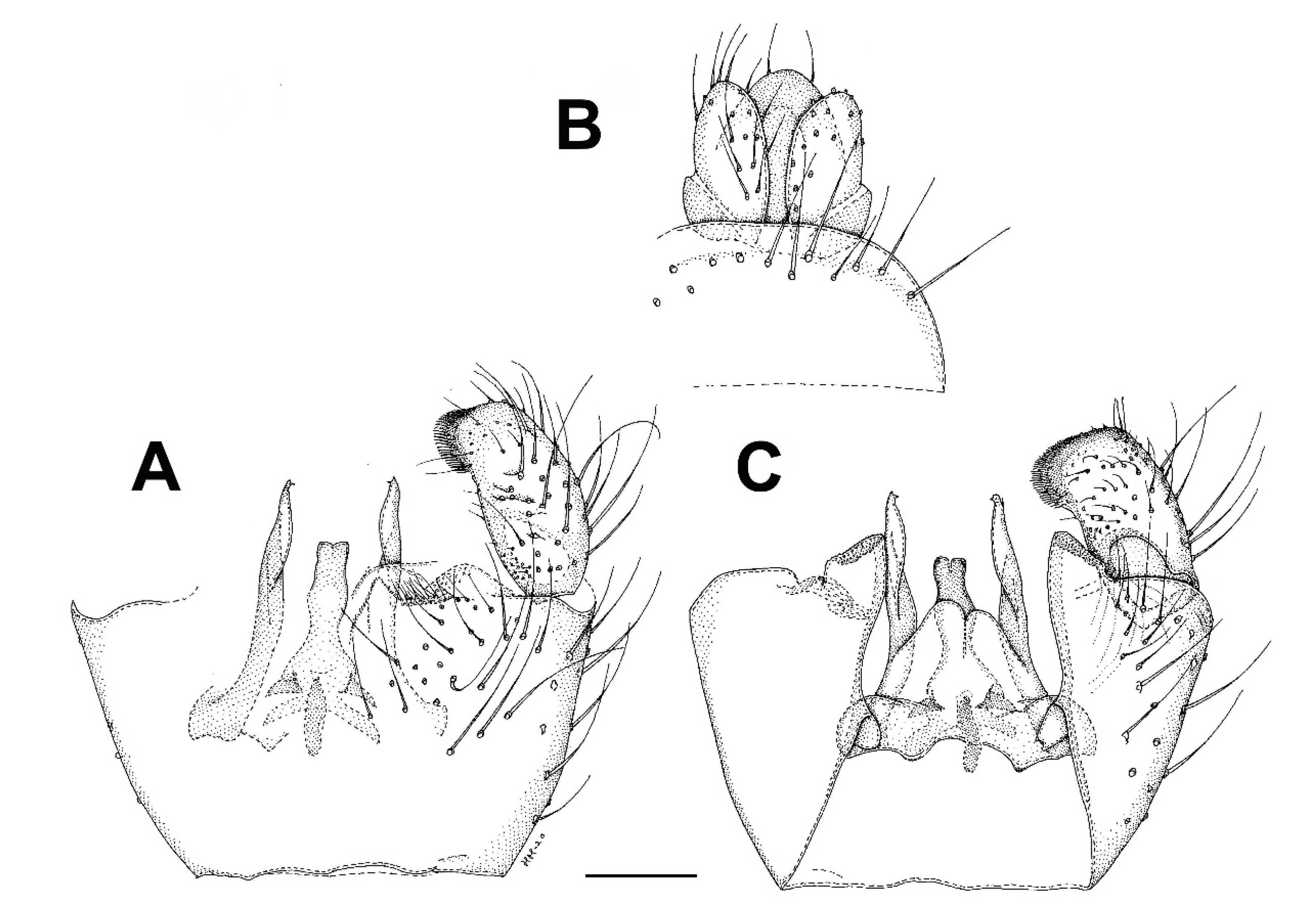 Insects 13 00019 g002 Insects 13 00019 g002