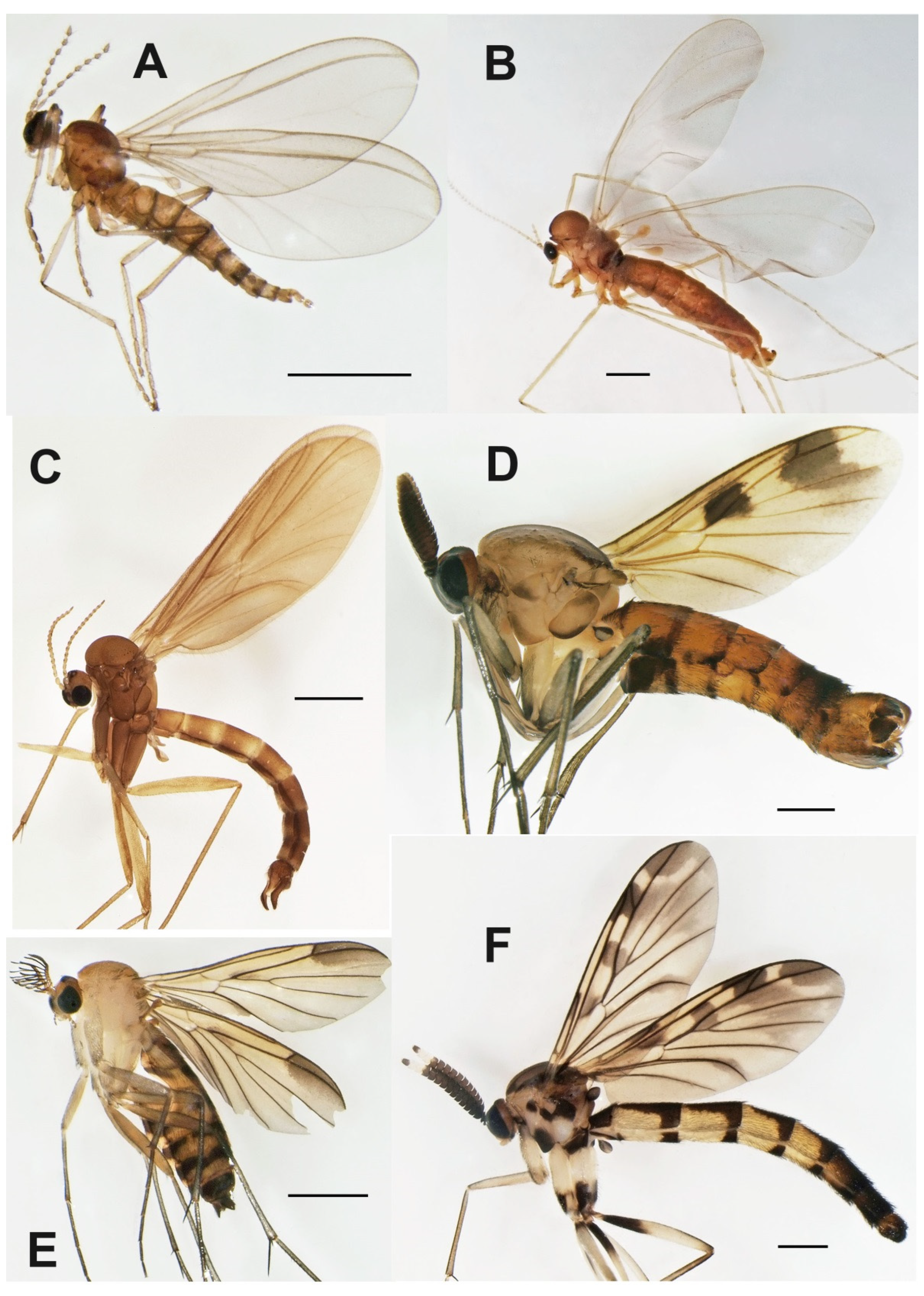 Insects 13 00019 g003 Insects 13 00019 g003