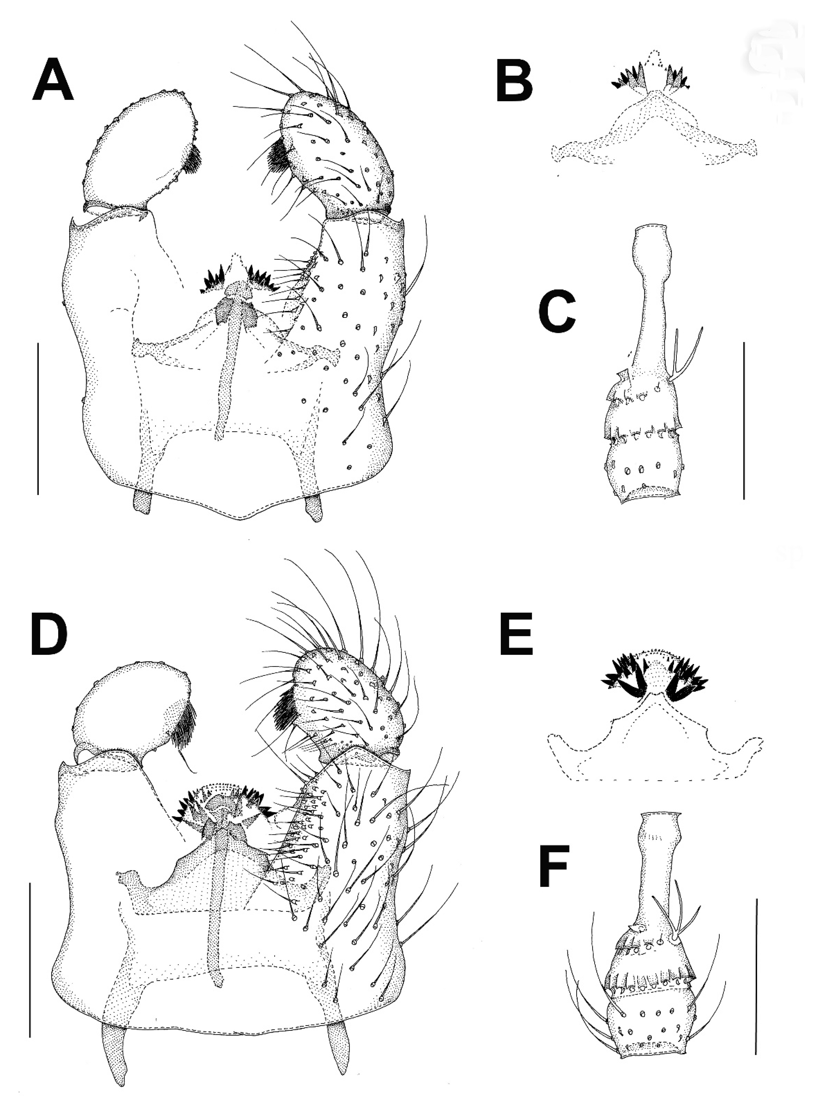 Insects 13 00019 g004 Insects 13 00019 g004