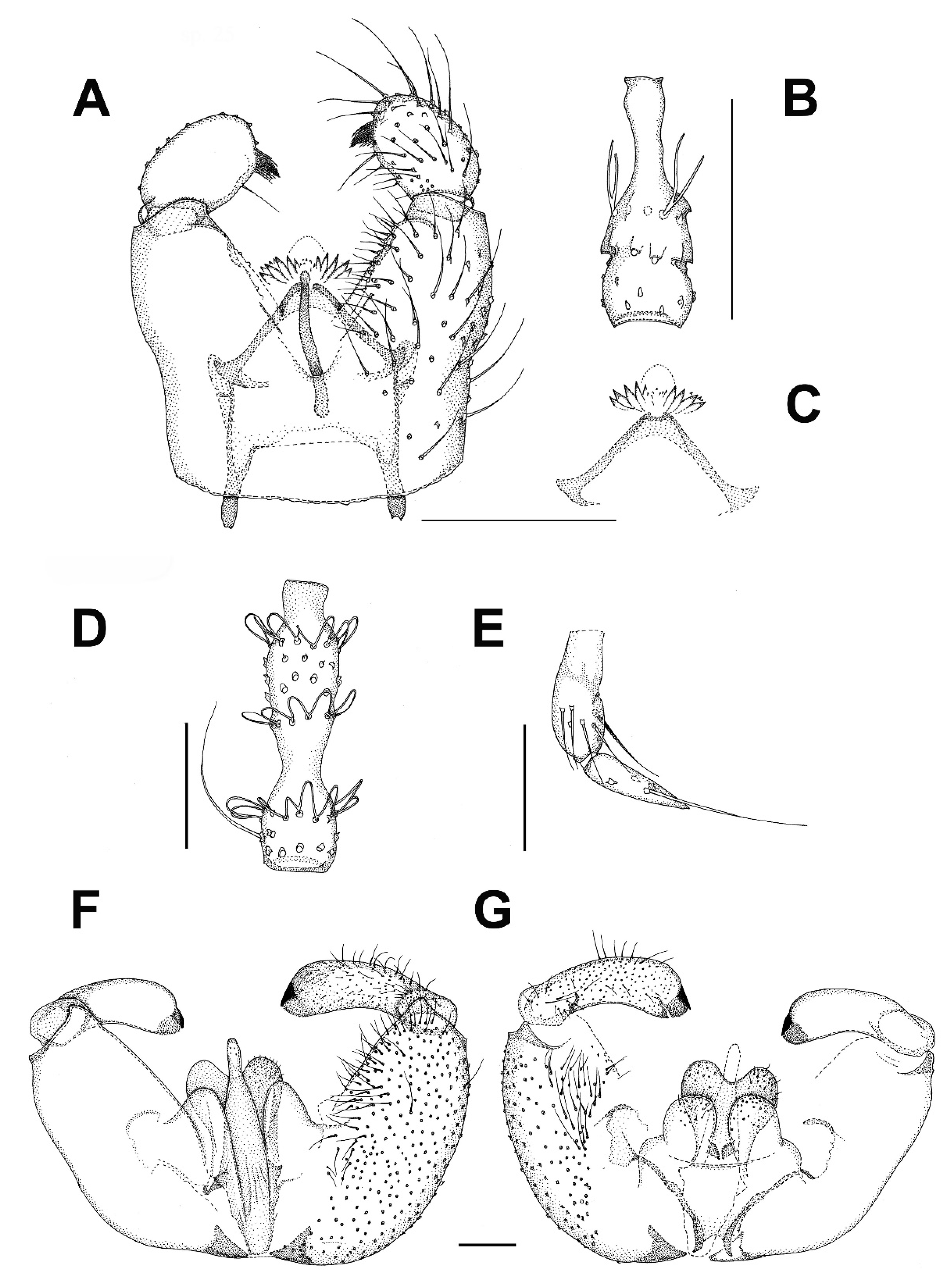 Insects 13 00019 g005 Insects 13 00019 g005