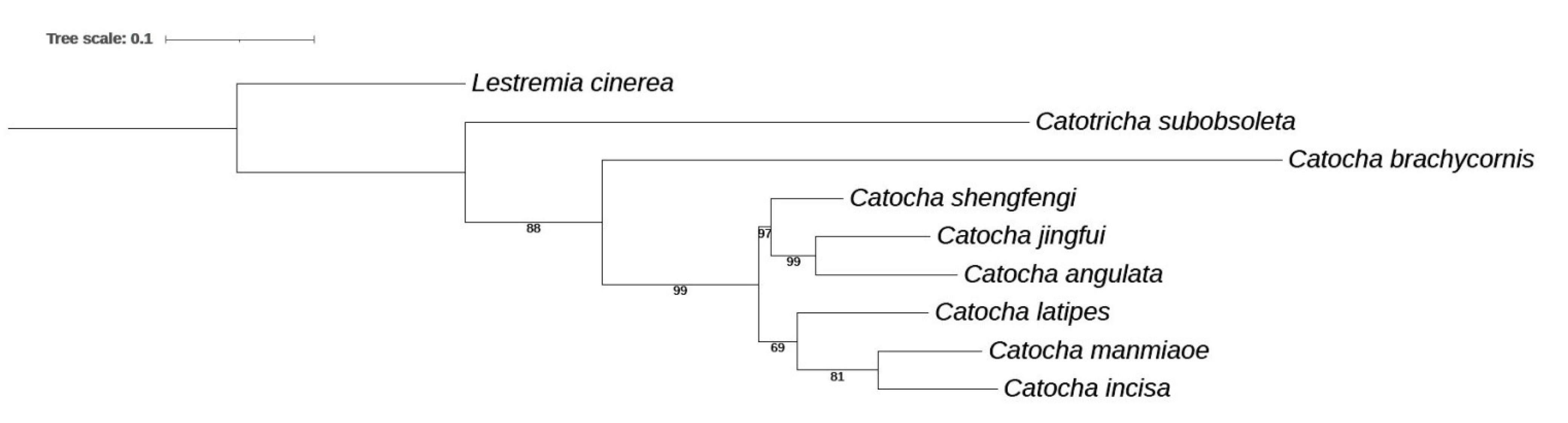 Insects 13 00019 g006 Insects 13 00019 g006
