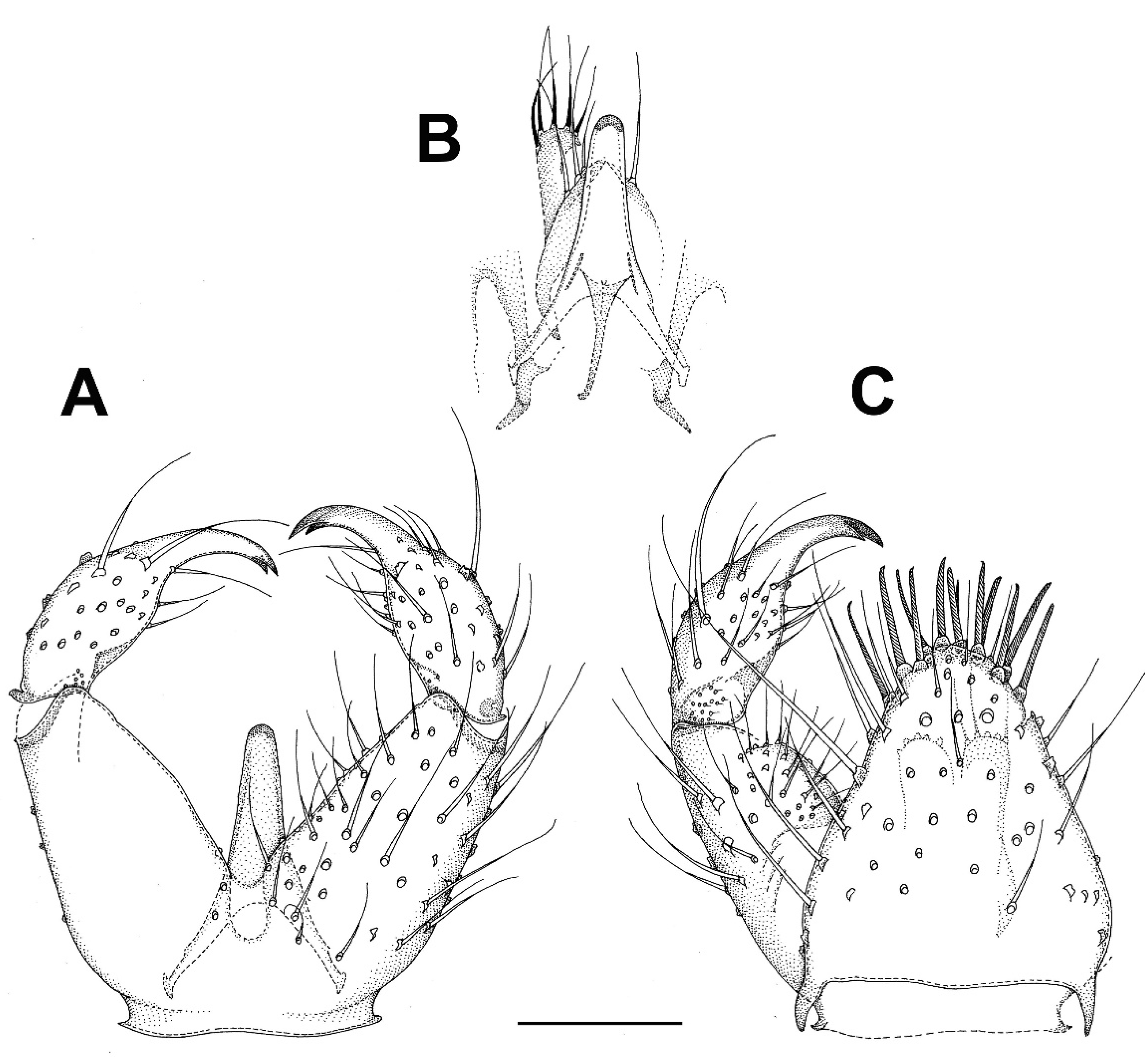 Insects 13 00019 g007 Insects 13 00019 g007