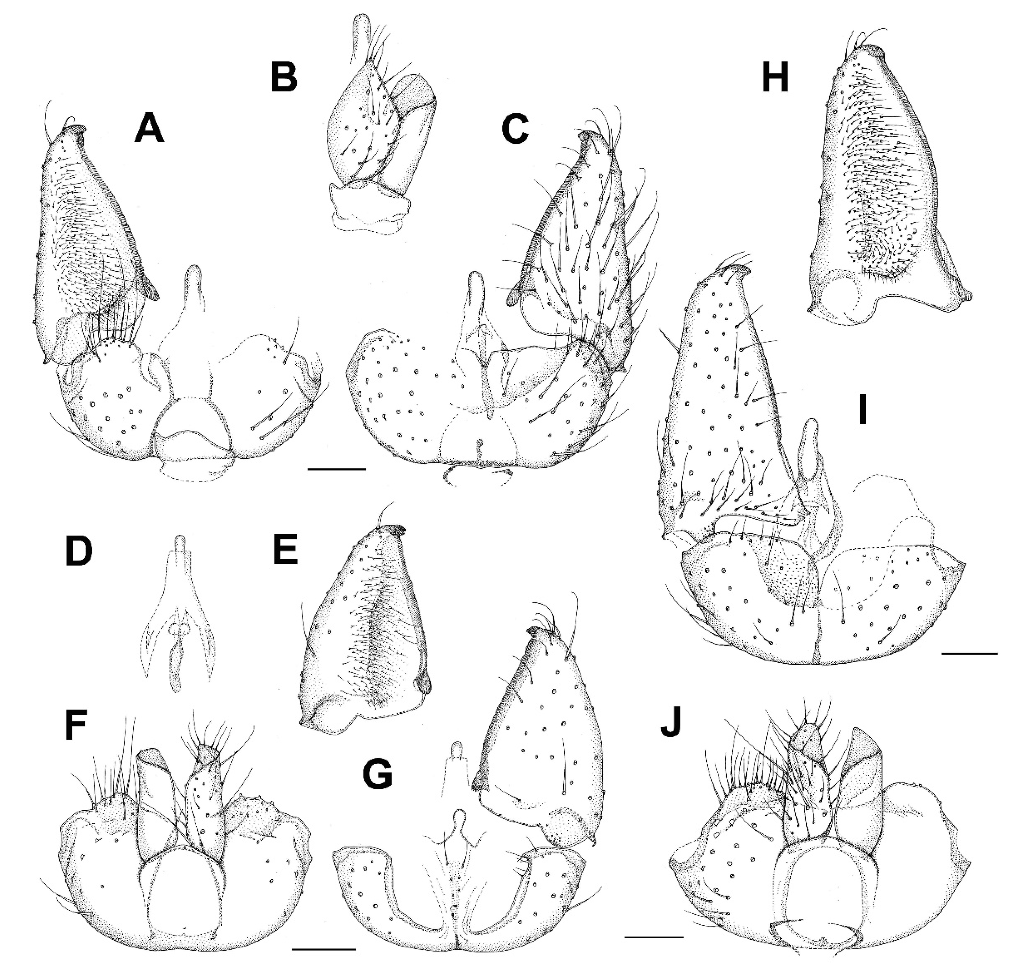 Insects 13 00019 g008 Insects 13 00019 g008