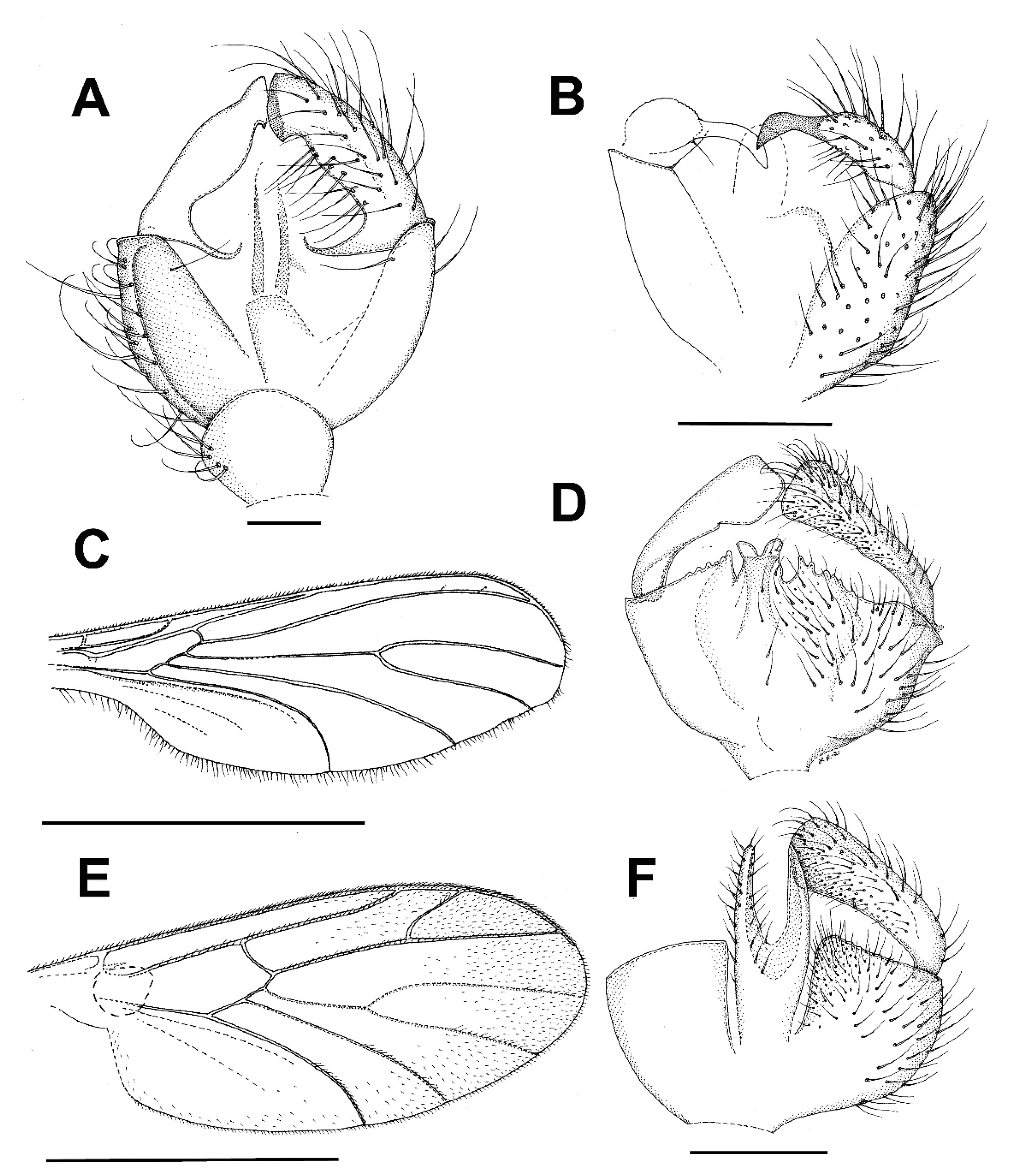 Insects 13 00019 g010 Insects 13 00019 g010