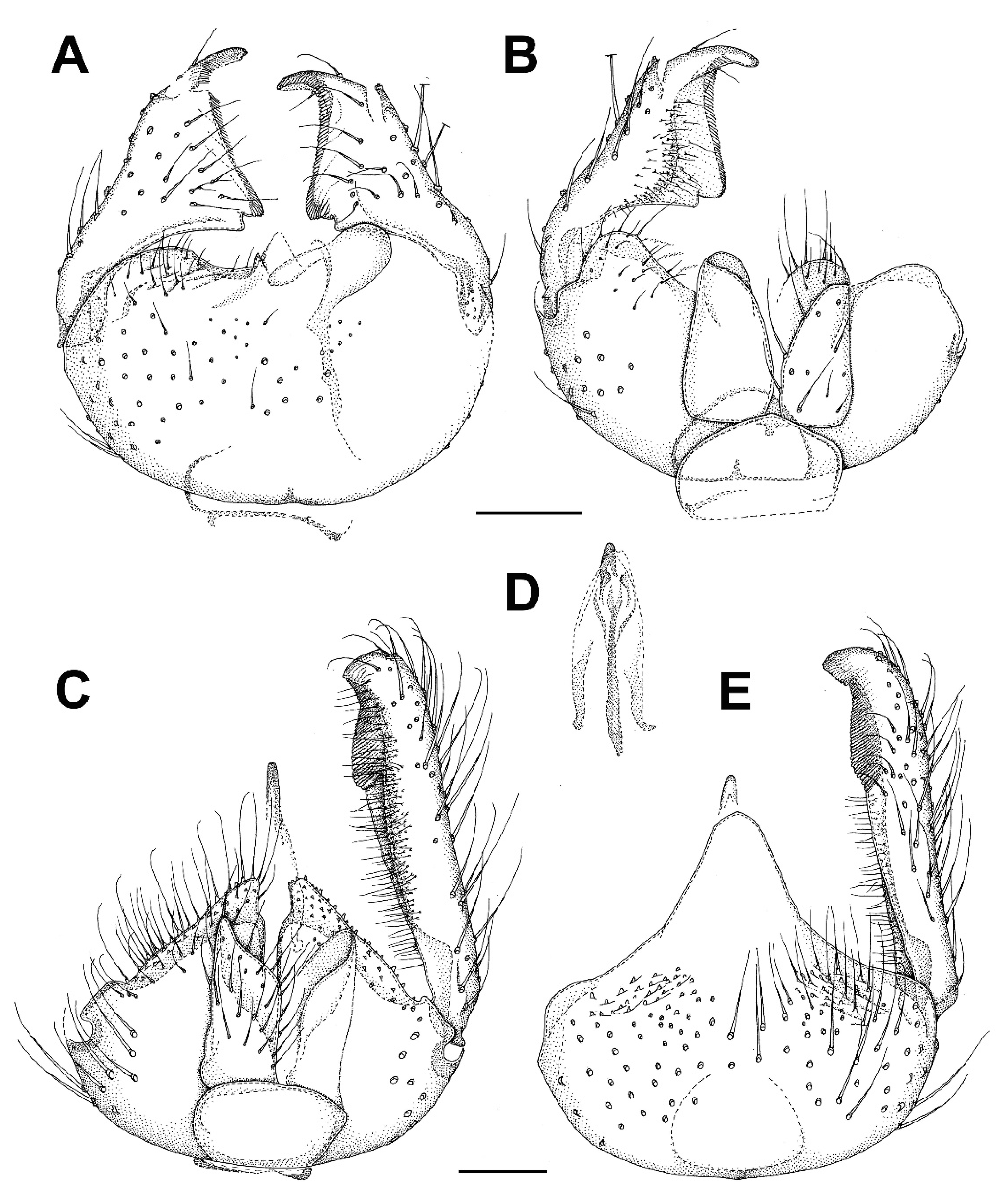 Insects 13 00019 g011 Insects 13 00019 g011