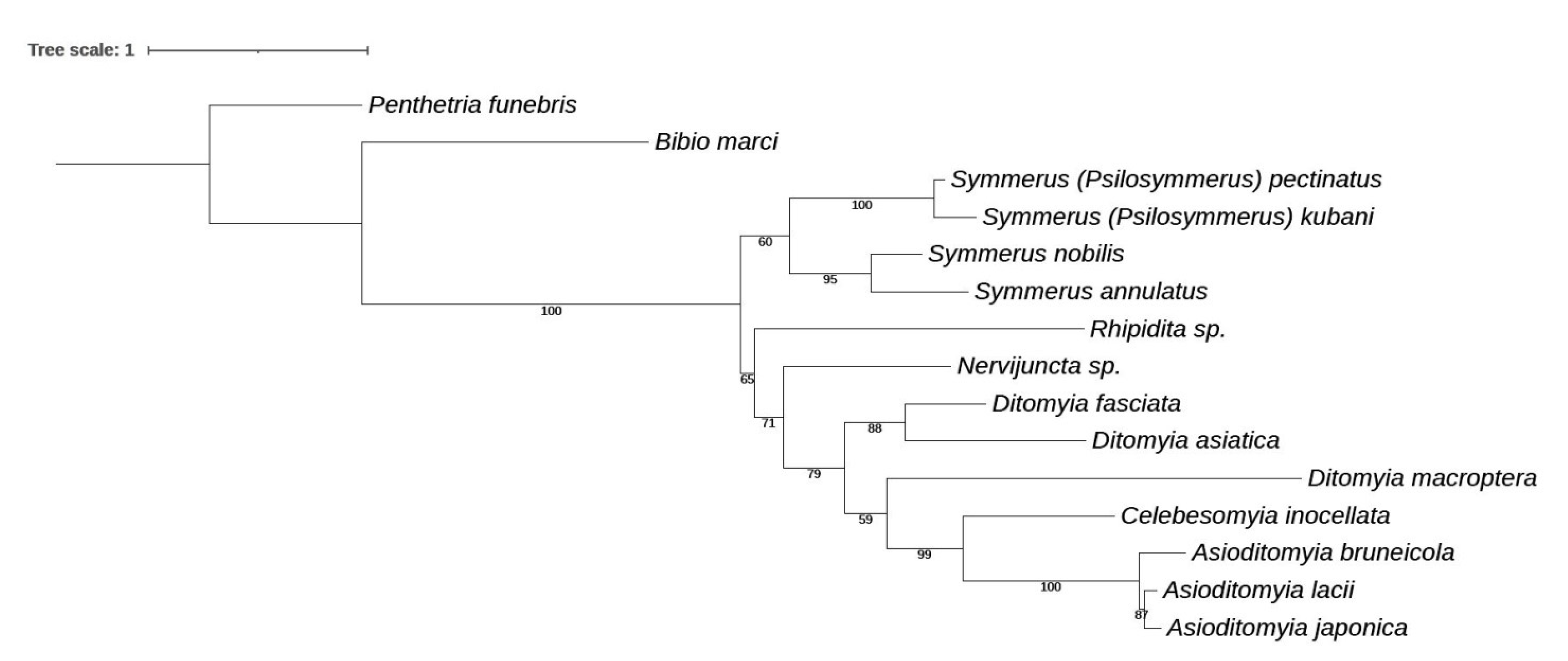 Insects 13 00019 g012 Insects 13 00019 g012