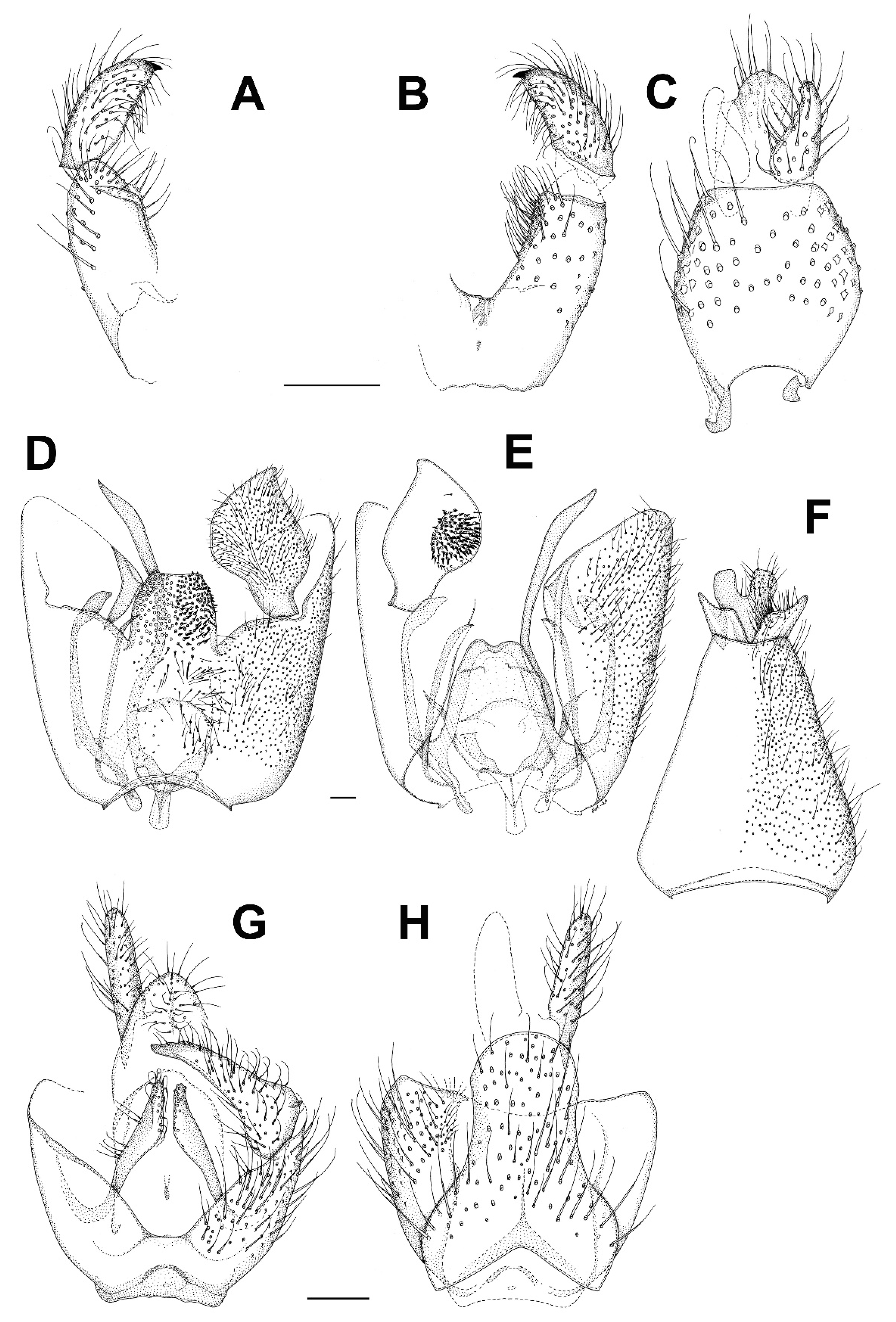 Insects 13 00019 g013 Insects 13 00019 g013