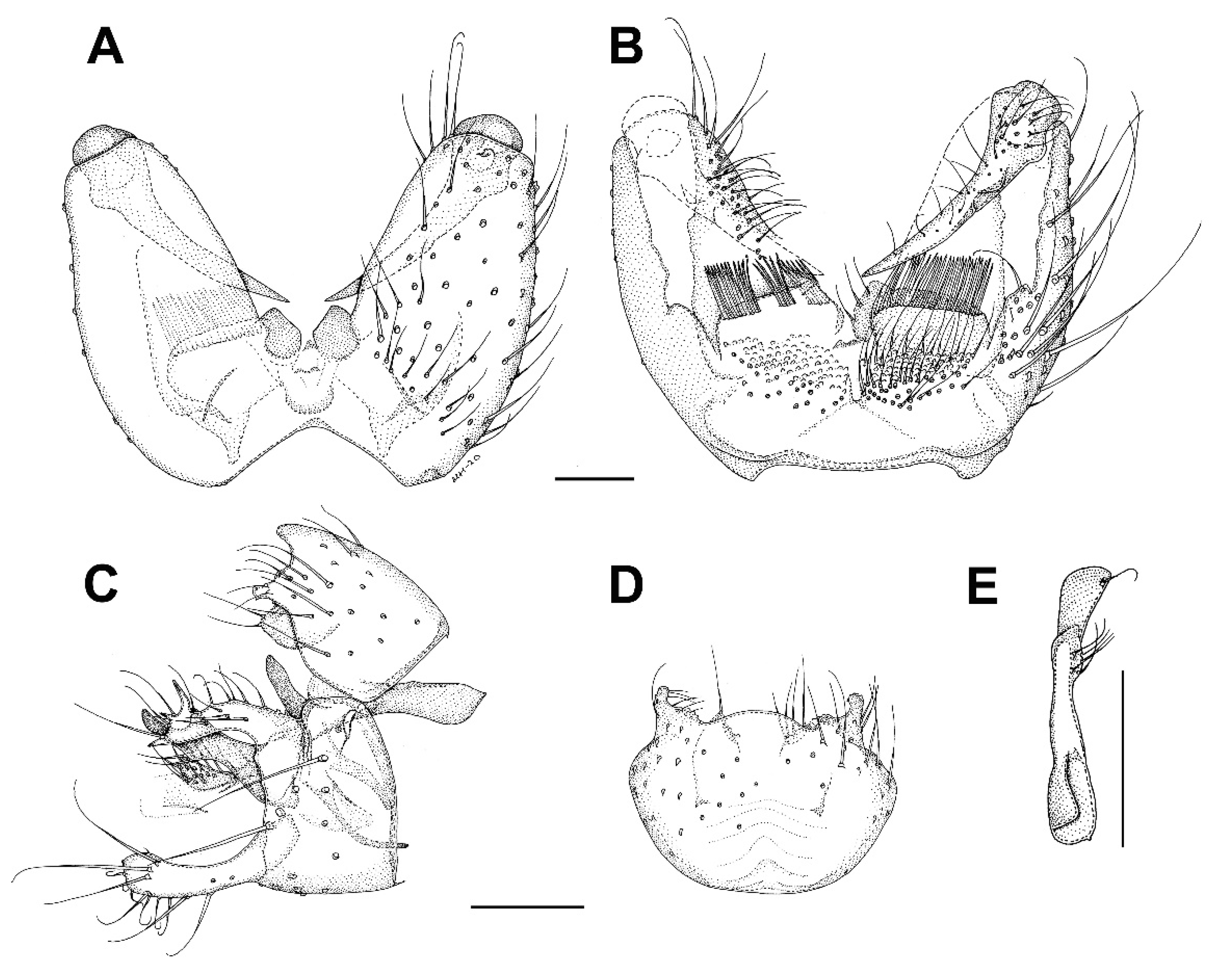 Insects 13 00019 g016 Insects 13 00019 g016