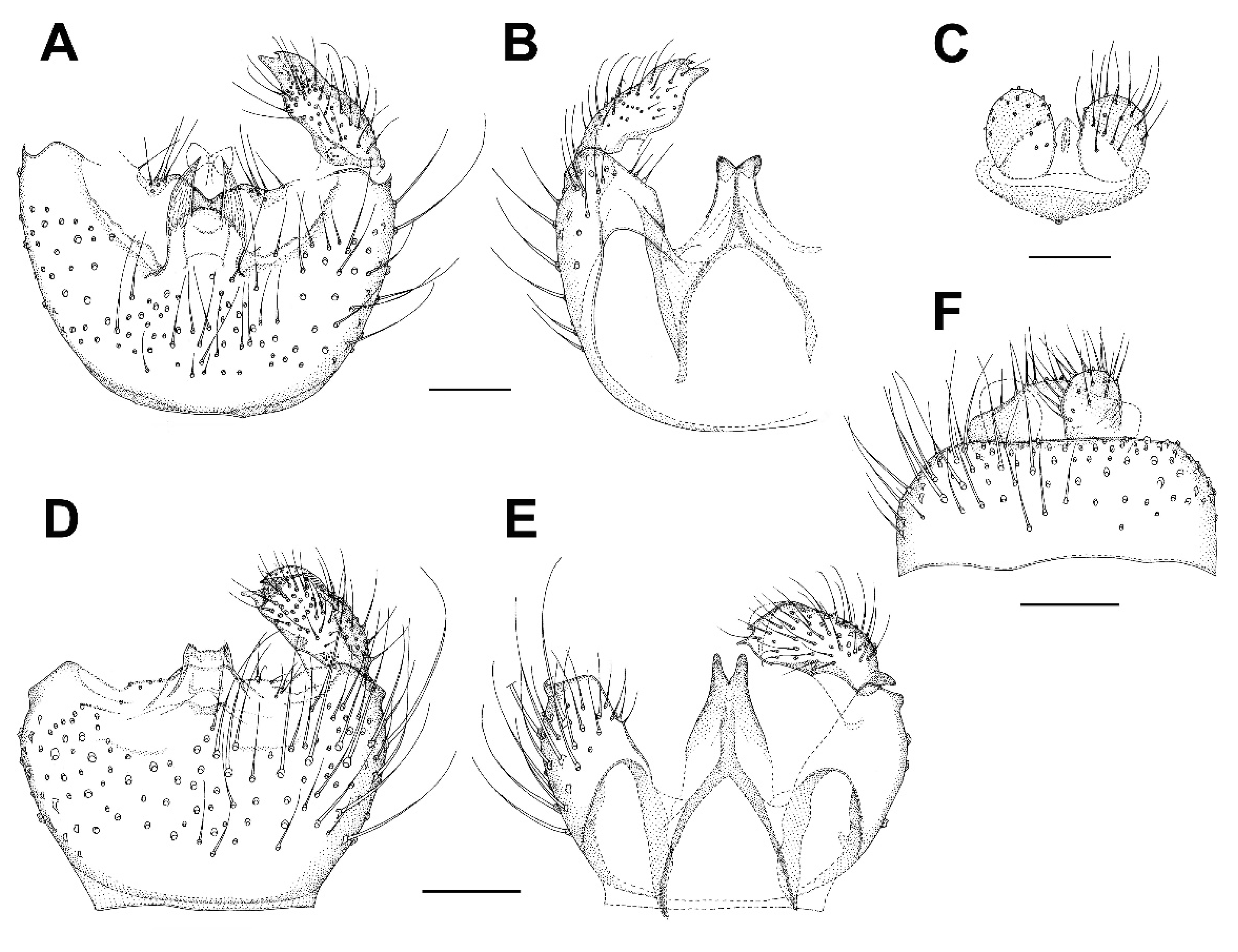 Insects 13 00019 g017 Insects 13 00019 g017