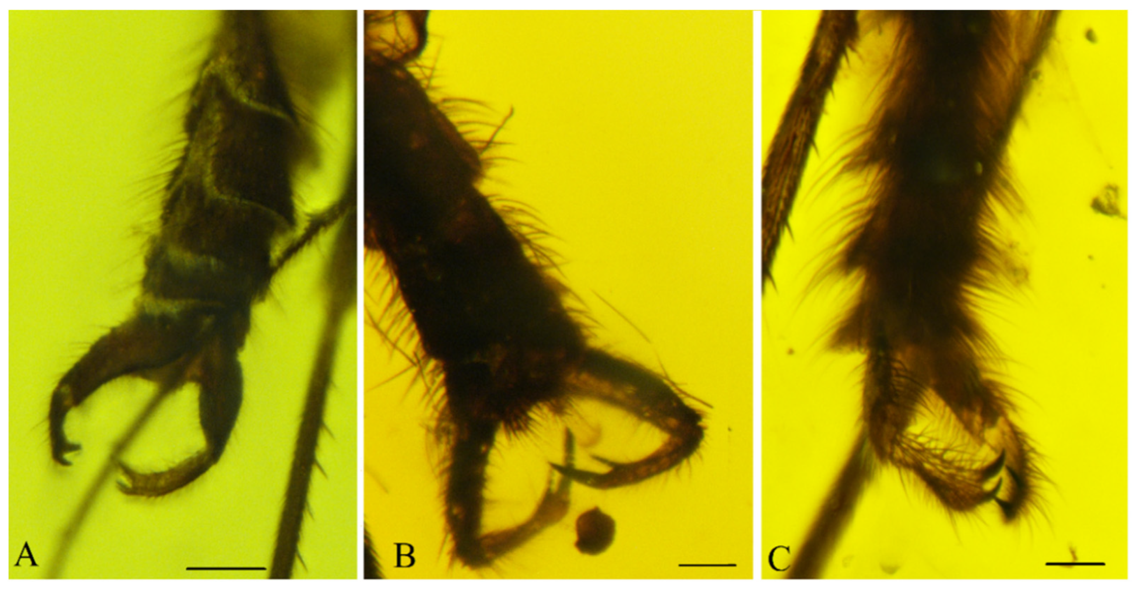 Insects 13 00024 g002 Insects 13 00024 g002