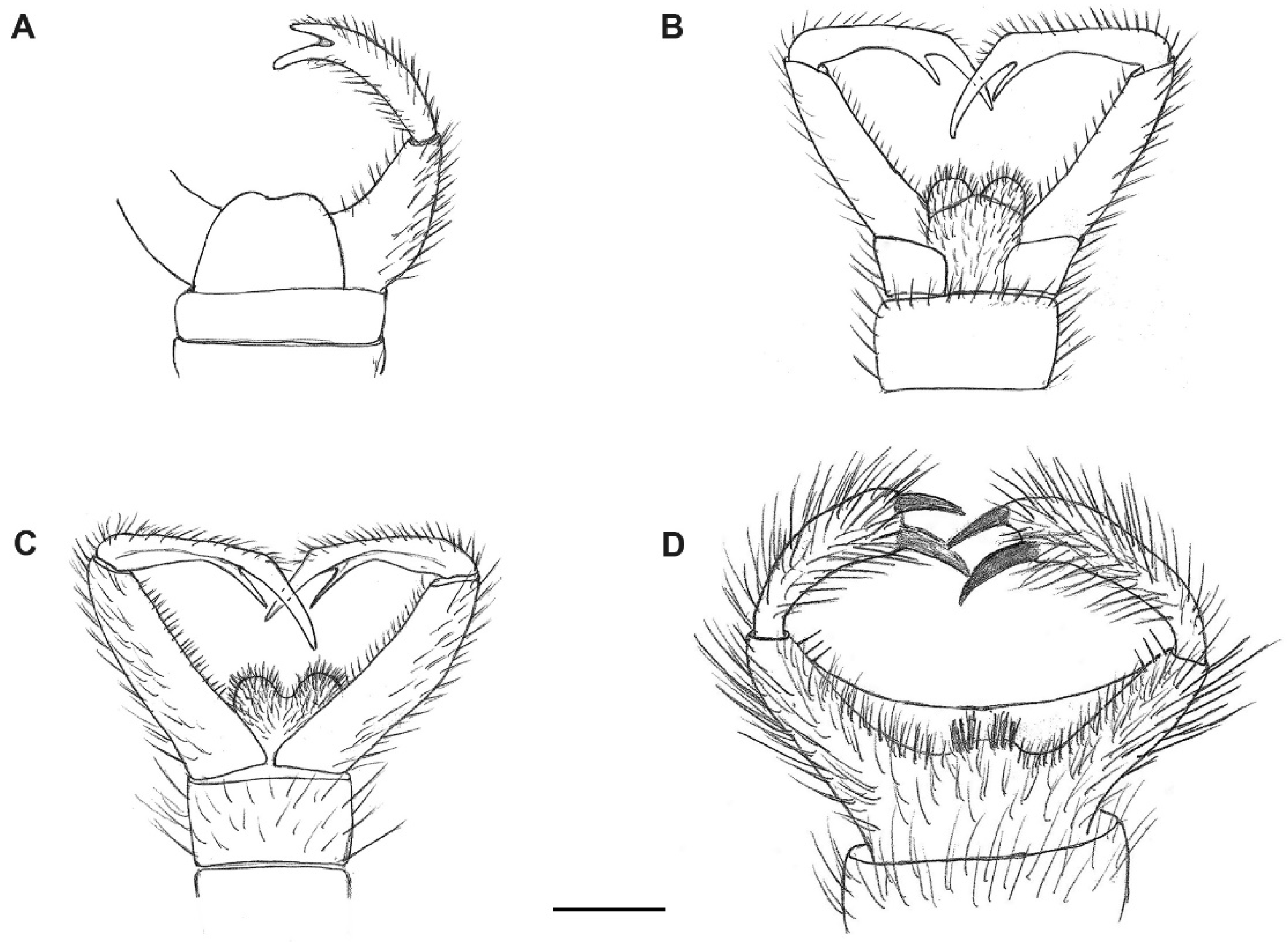 Insects 13 00024 g005 Insects 13 00024 g005