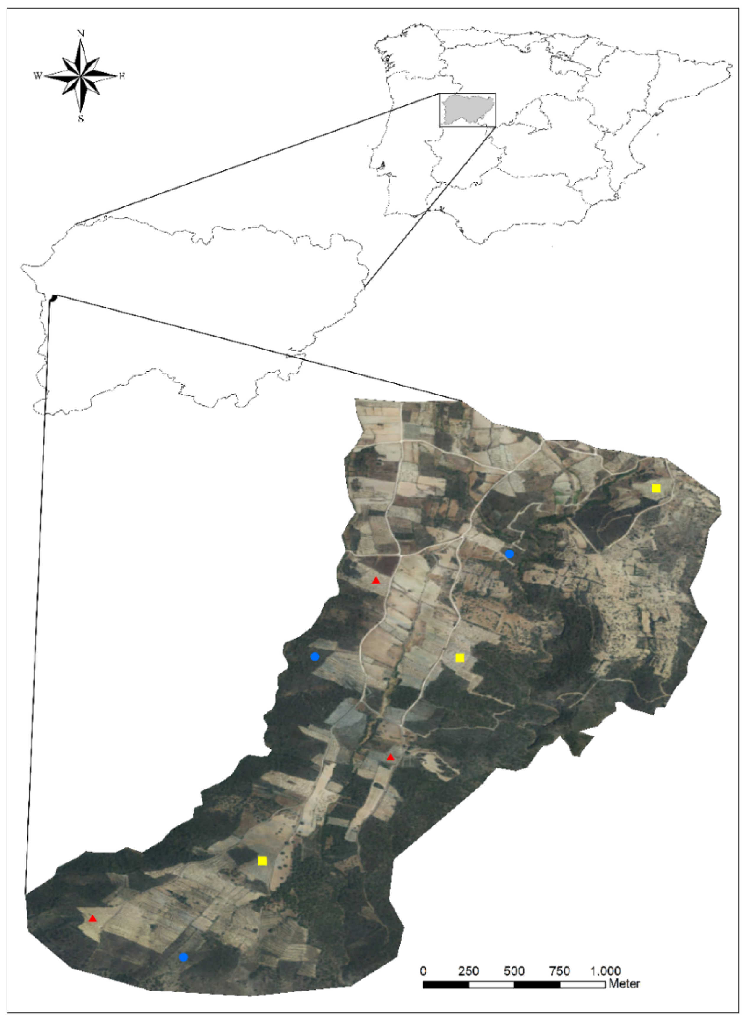 Insects 13 00048 g001 550