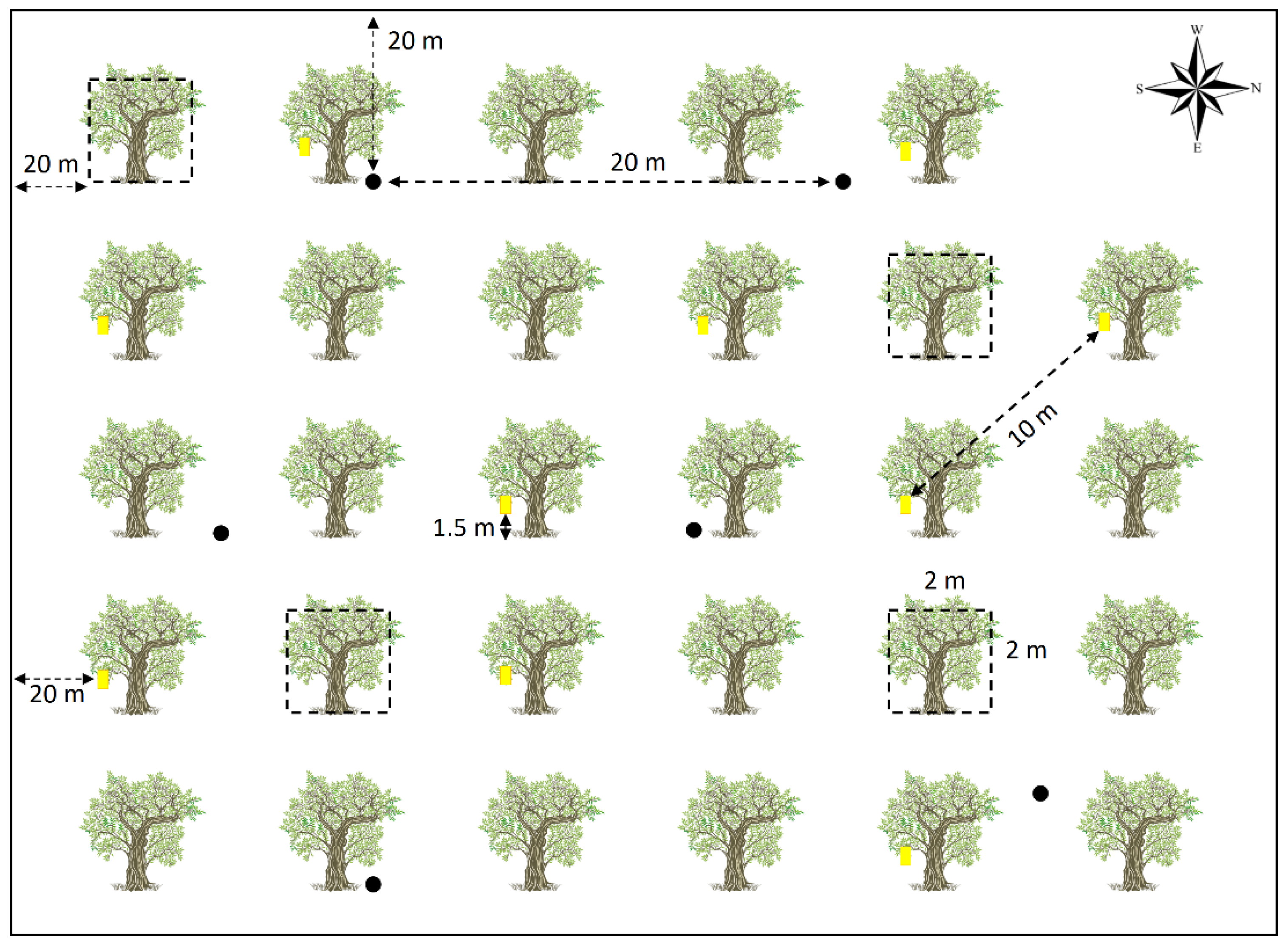 Insects 13 00048 g002 550