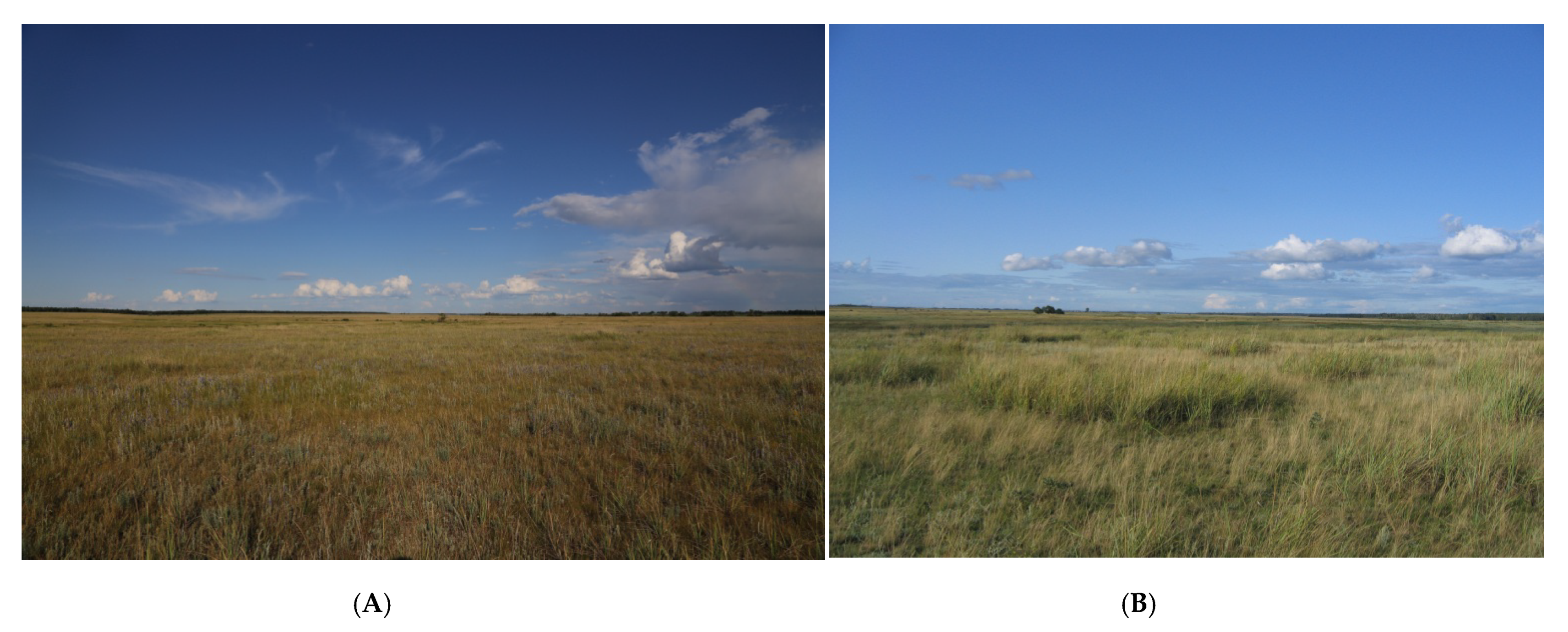 Insects 13 00049 g003