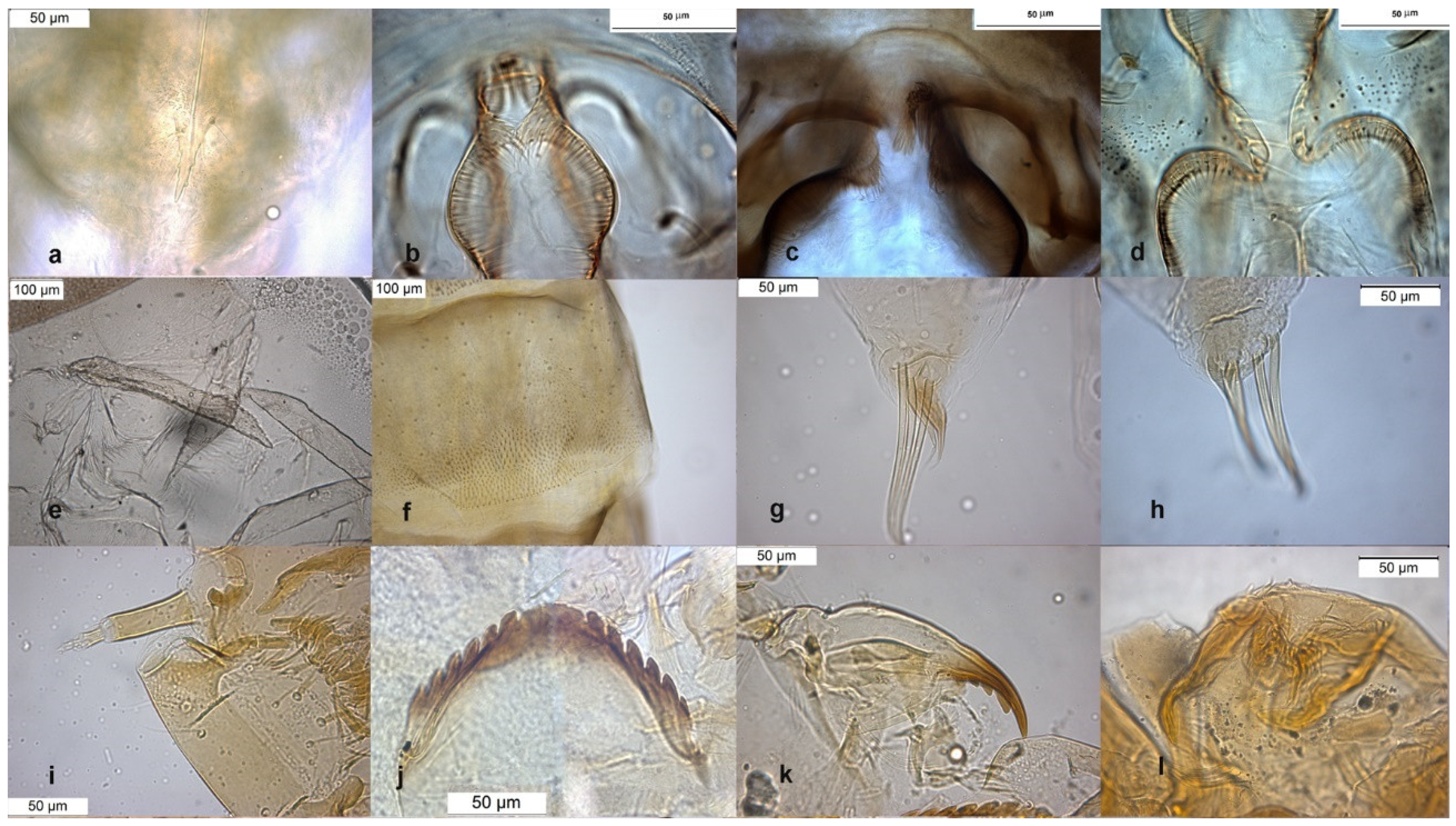 Insects 13 00051 g003