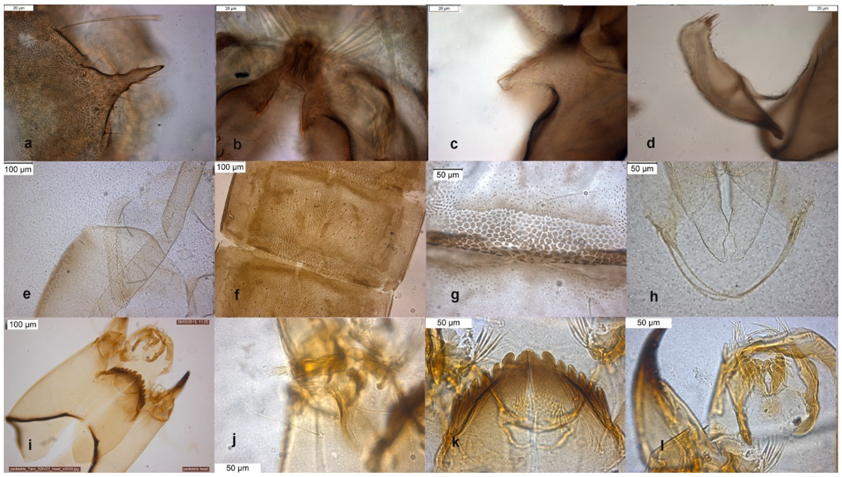 Insects 13 00051 g005