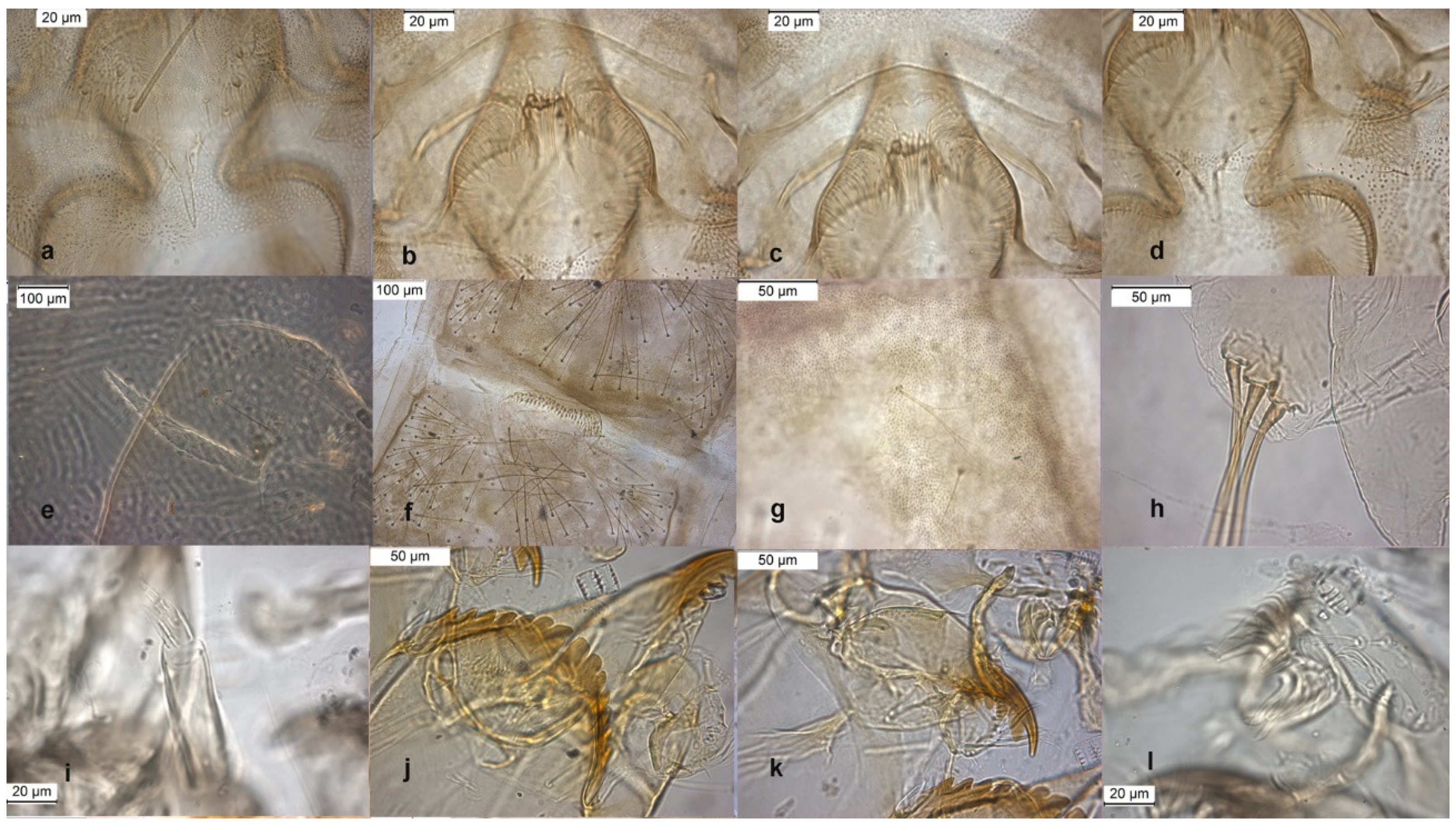 Insects 13 00051 g007